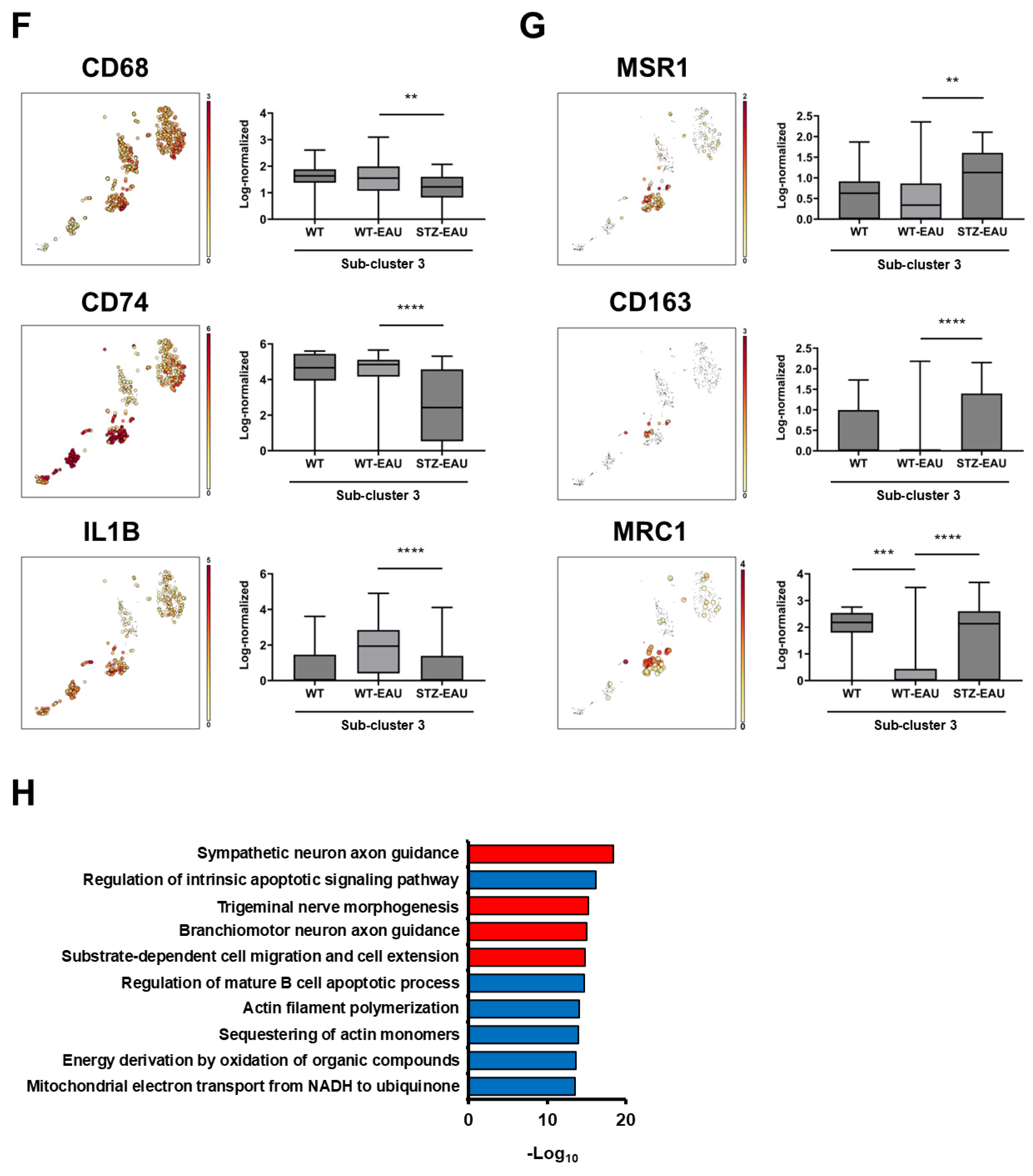 Biomedicines 13 02049 g006b