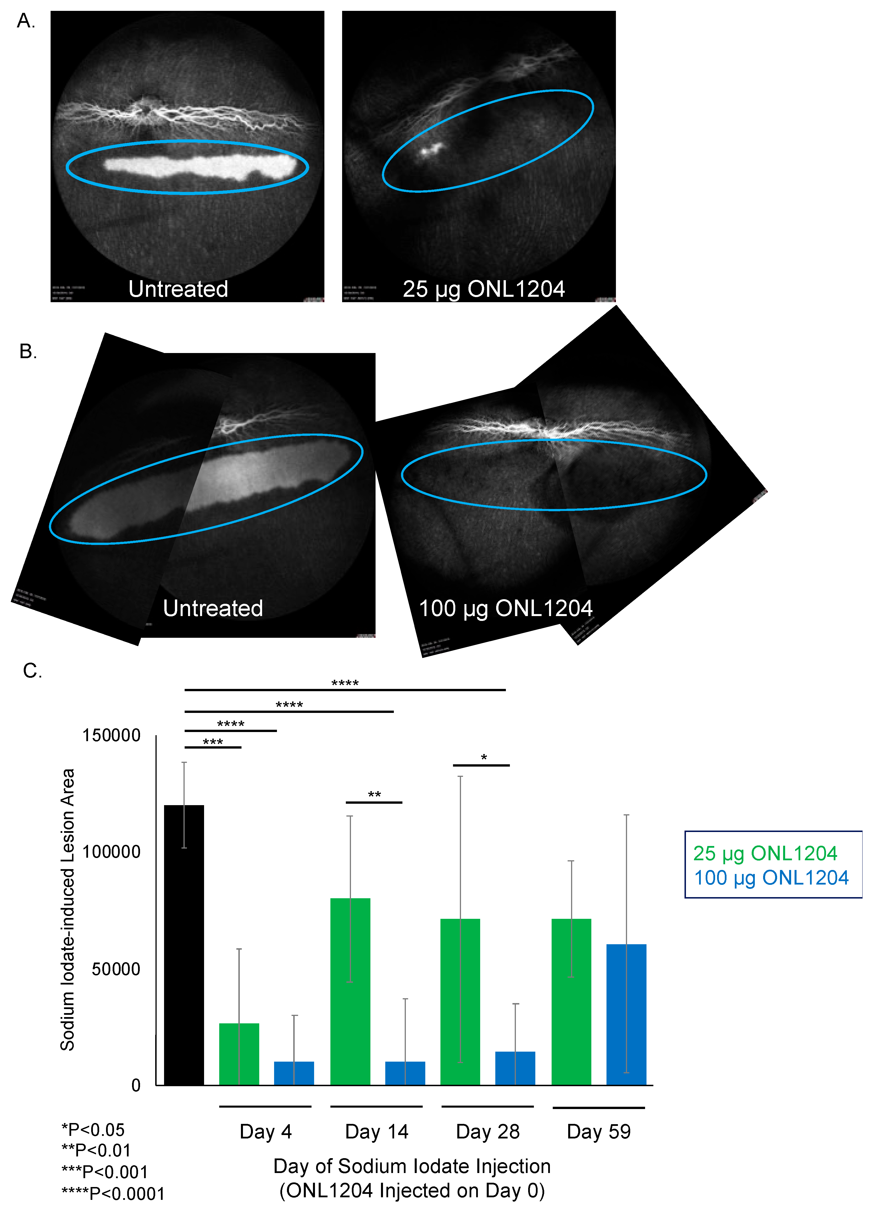 Biomedicines 13 02052 g003