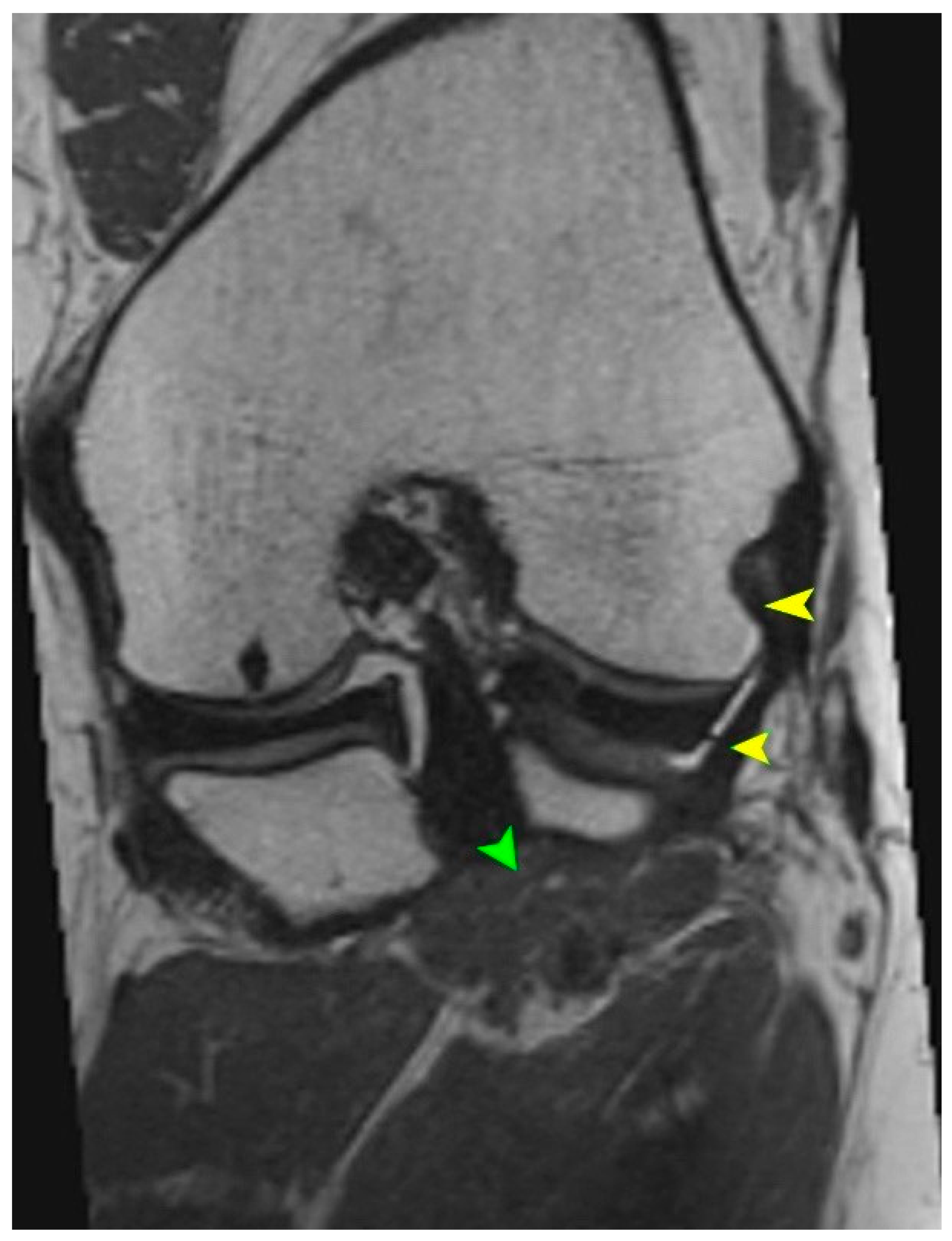 Biomedicines 13 02053 g001