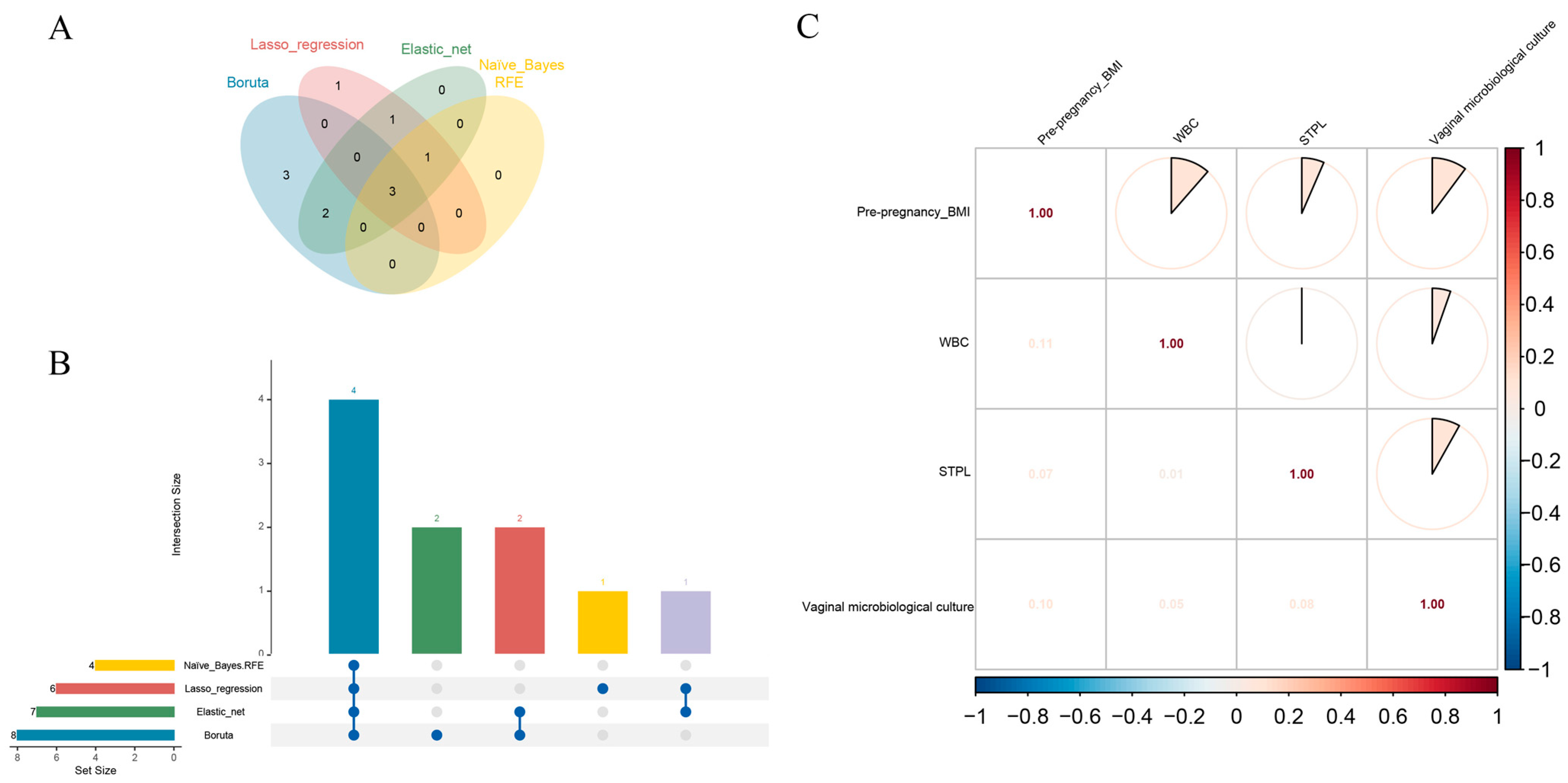 Biomedicines 13 02057 g003