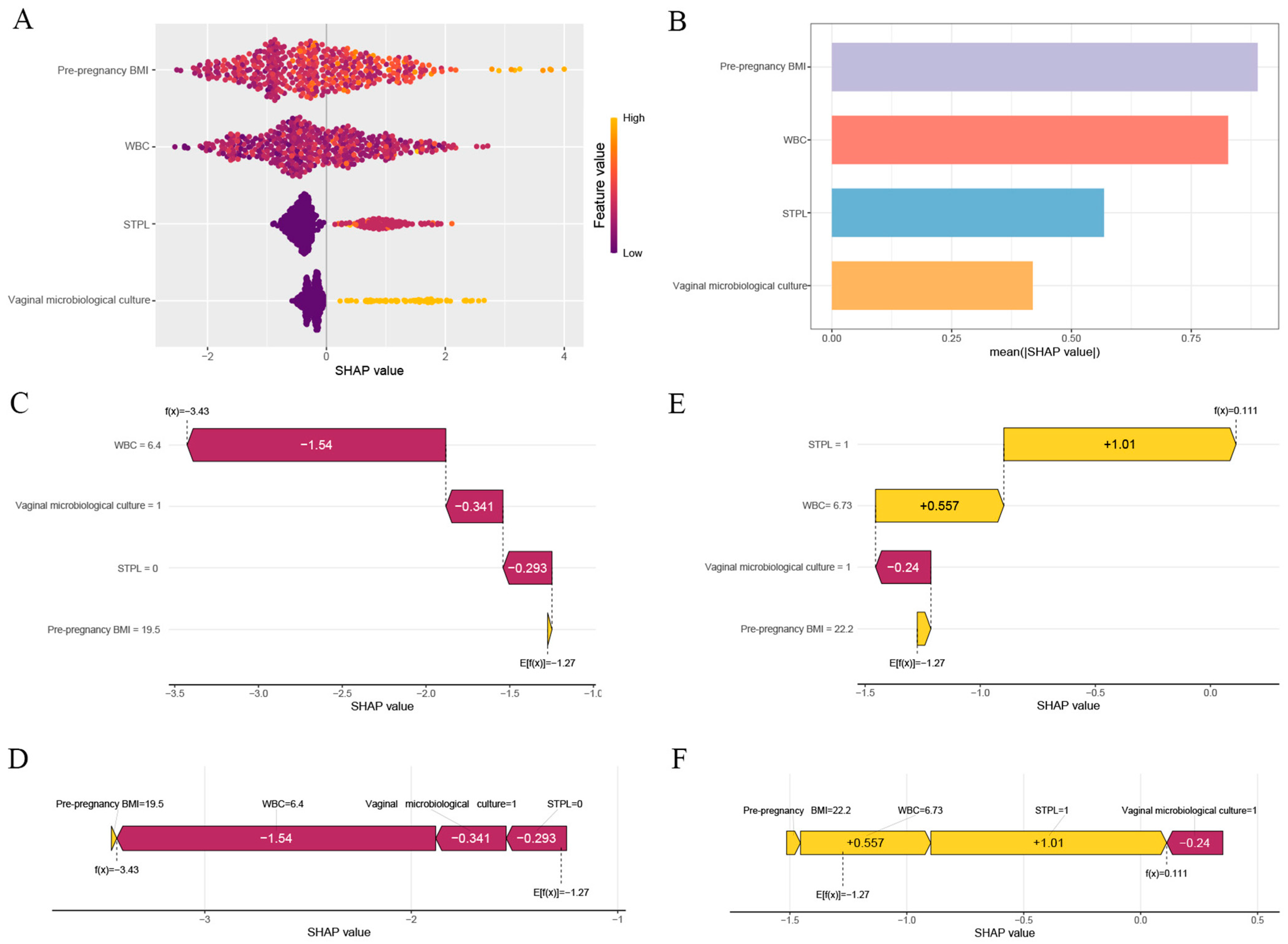 Biomedicines 13 02057 g006