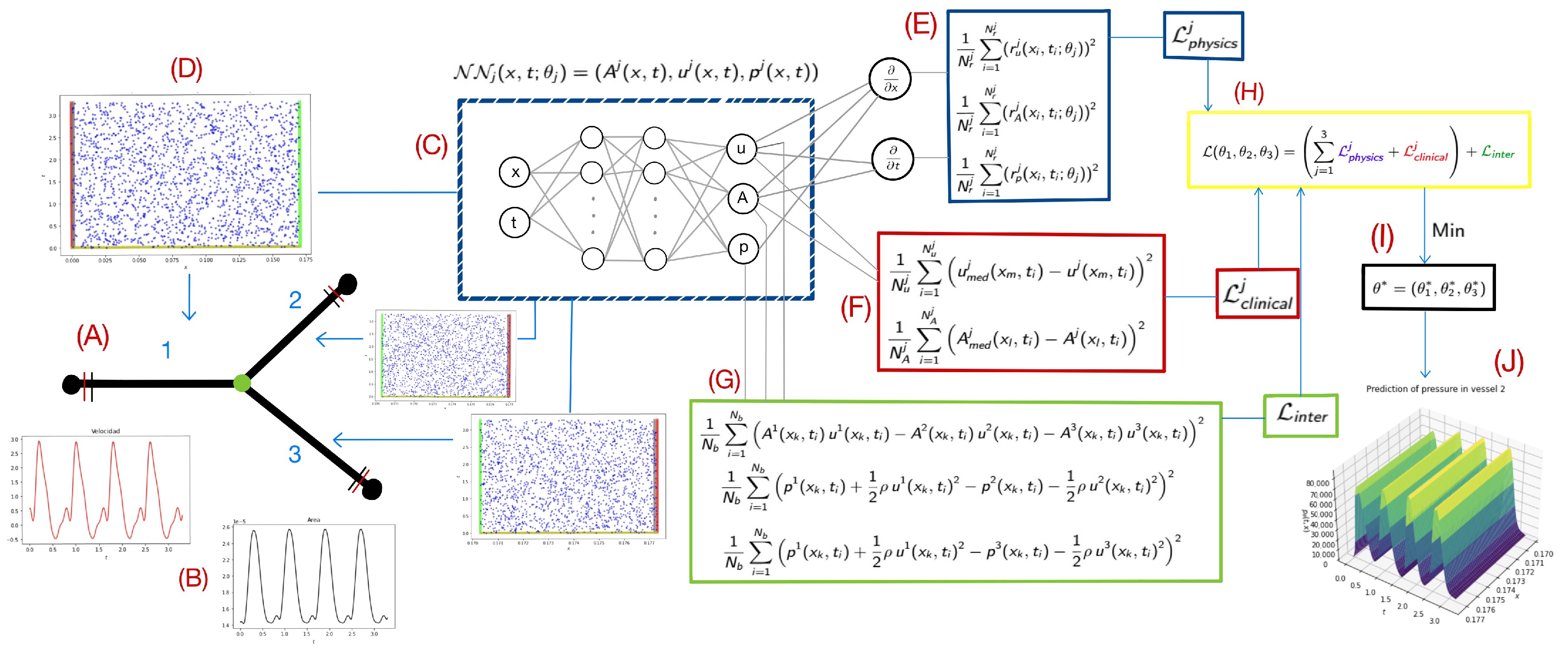 Biomedicines 13 02058 g001 Biomedicines 13 02058 g001