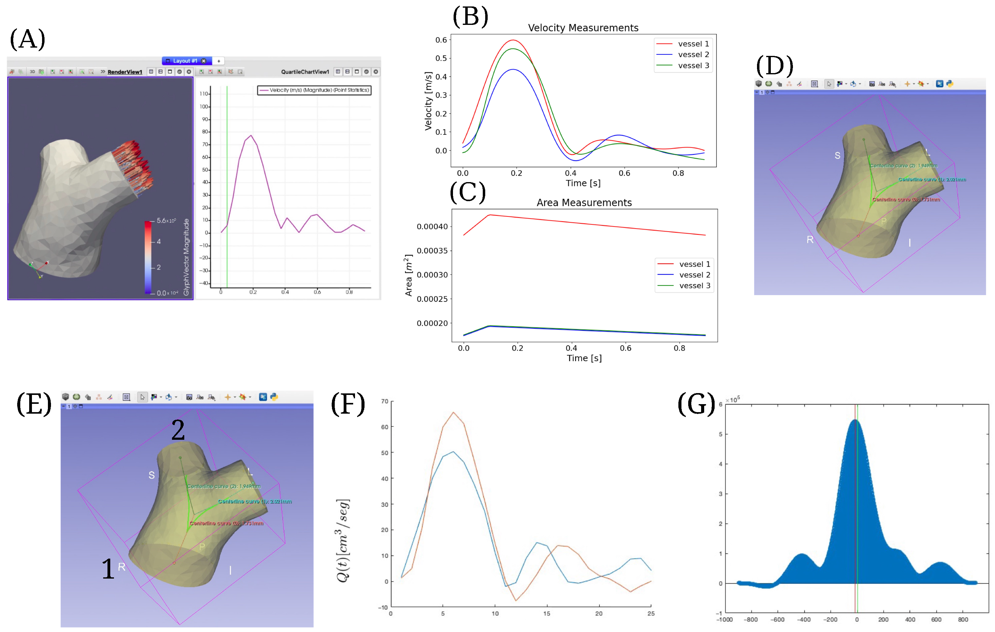Biomedicines 13 02058 g002 Biomedicines 13 02058 g002