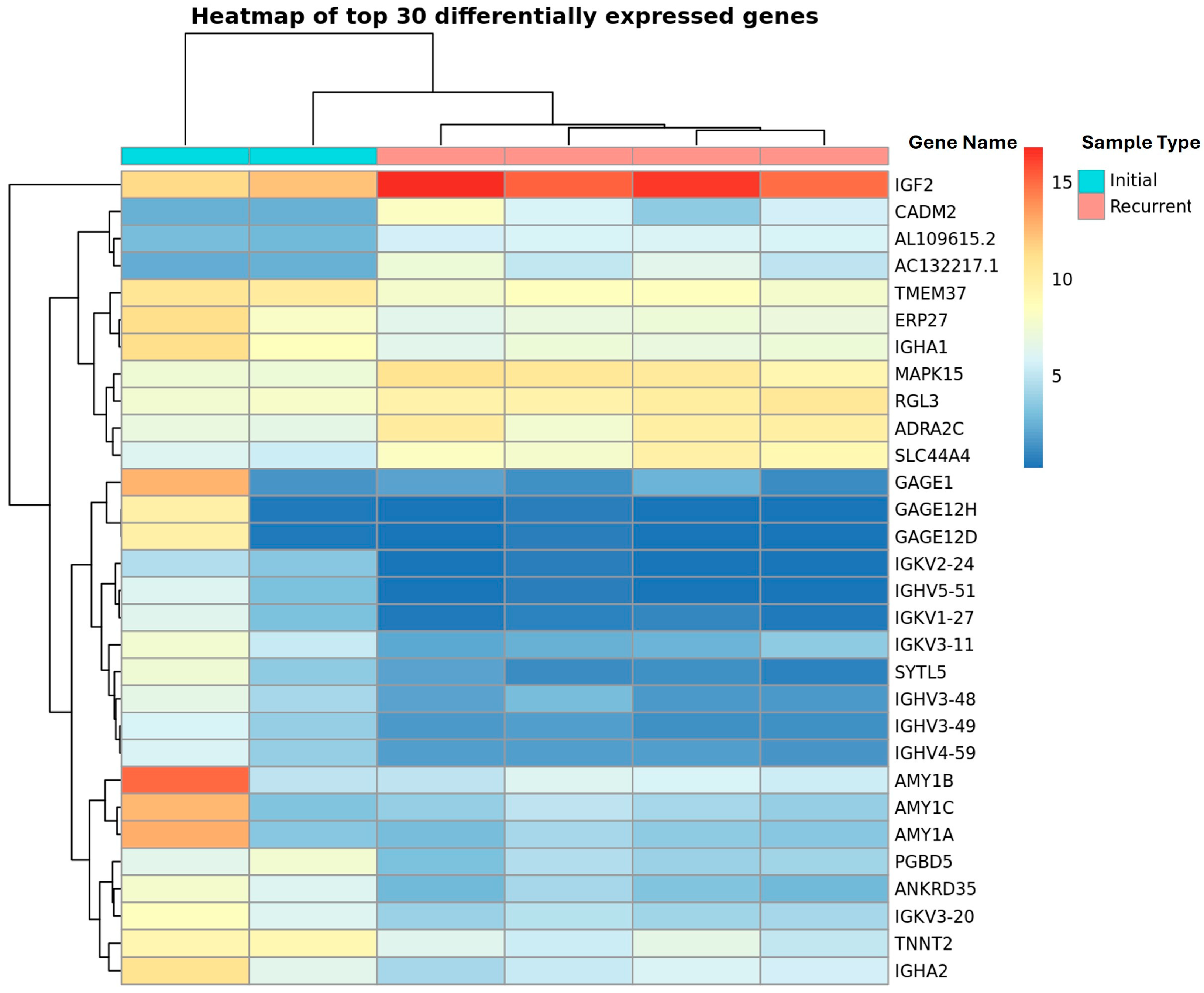 Biomedicines 13 02074 g001
