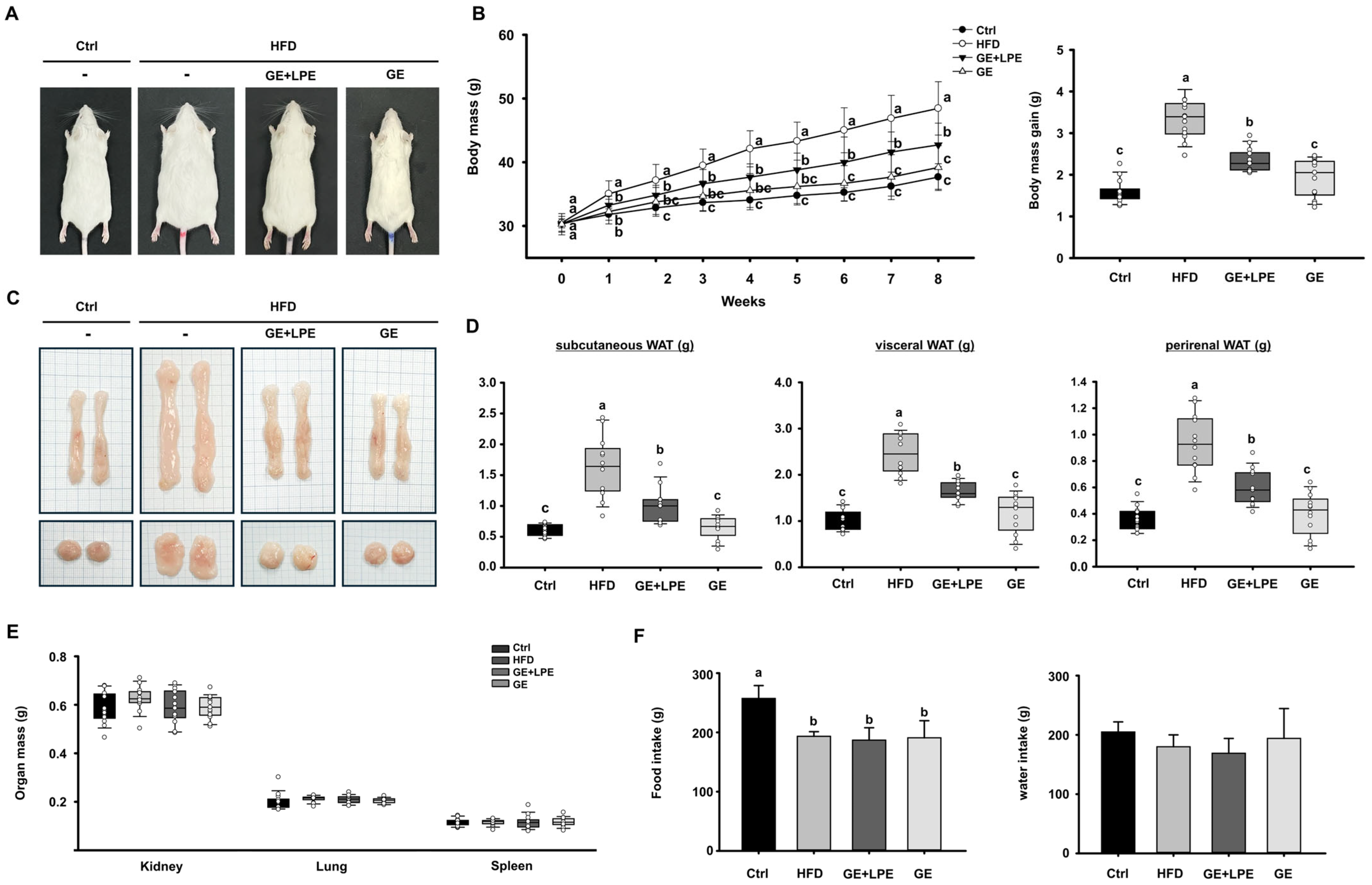Biomedicines 13 02077 g001 Biomedicines 13 02077 g001