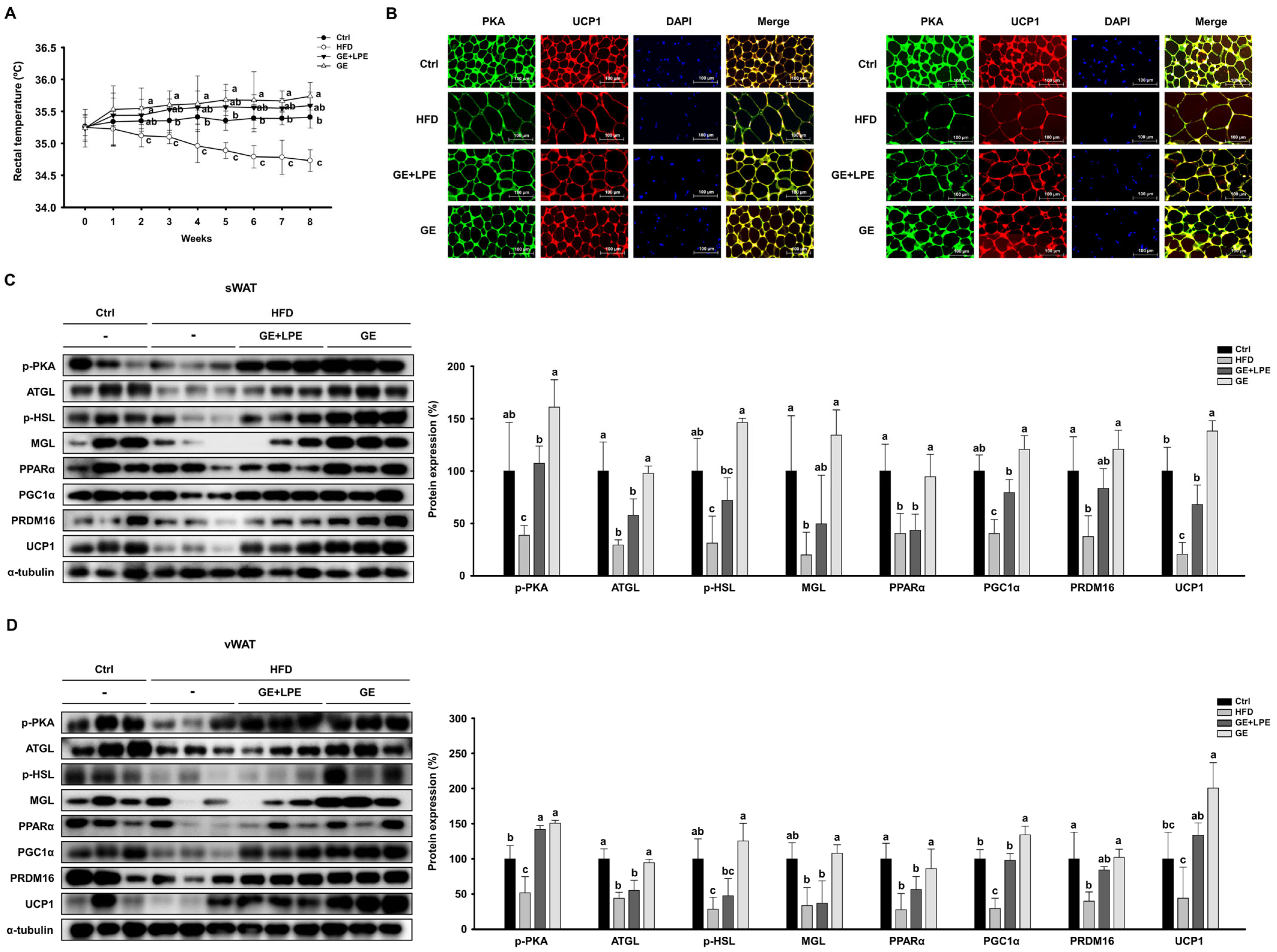 Biomedicines 13 02077 g005 Biomedicines 13 02077 g005