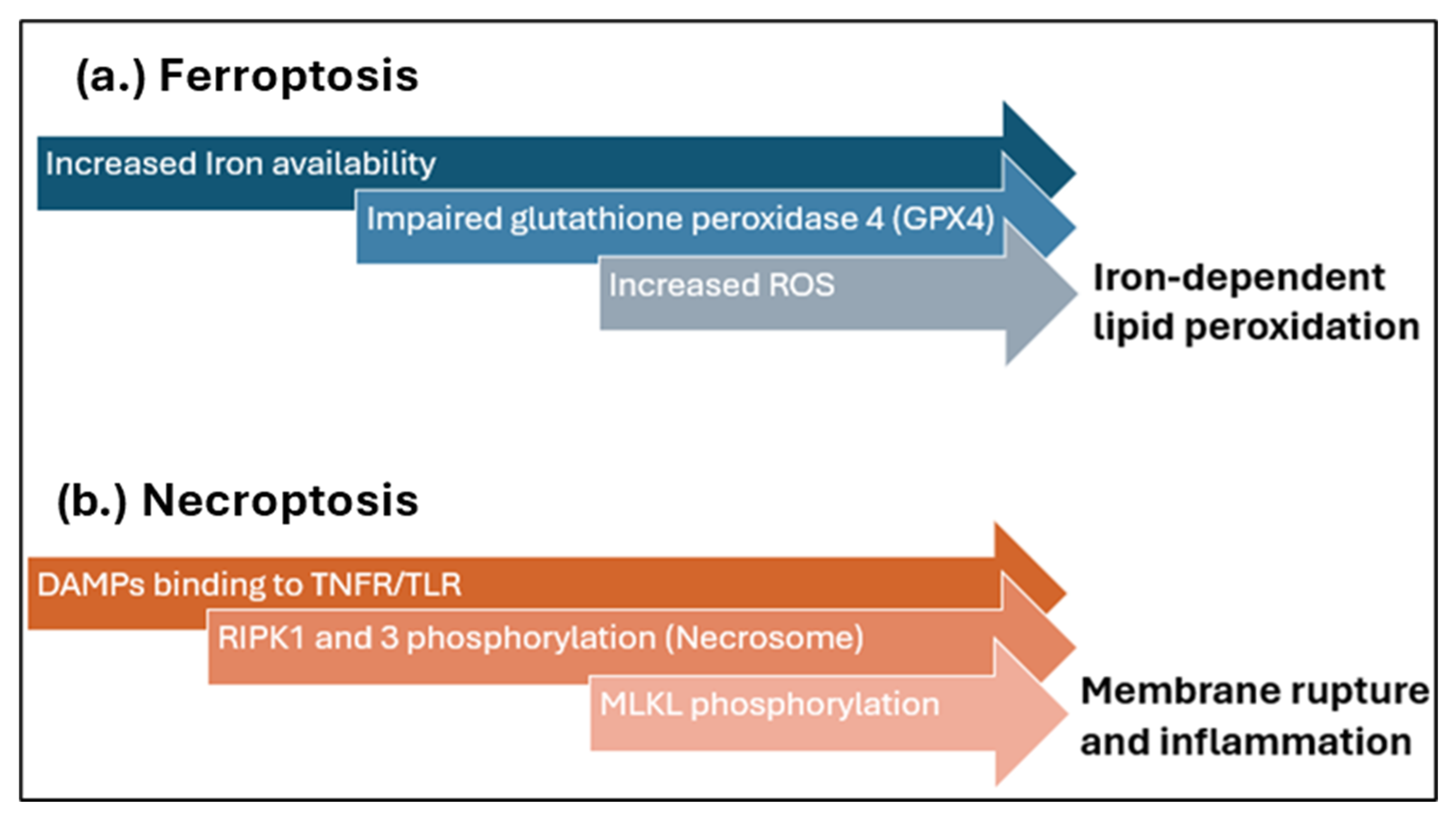 Biomedicines 13 02084 g002