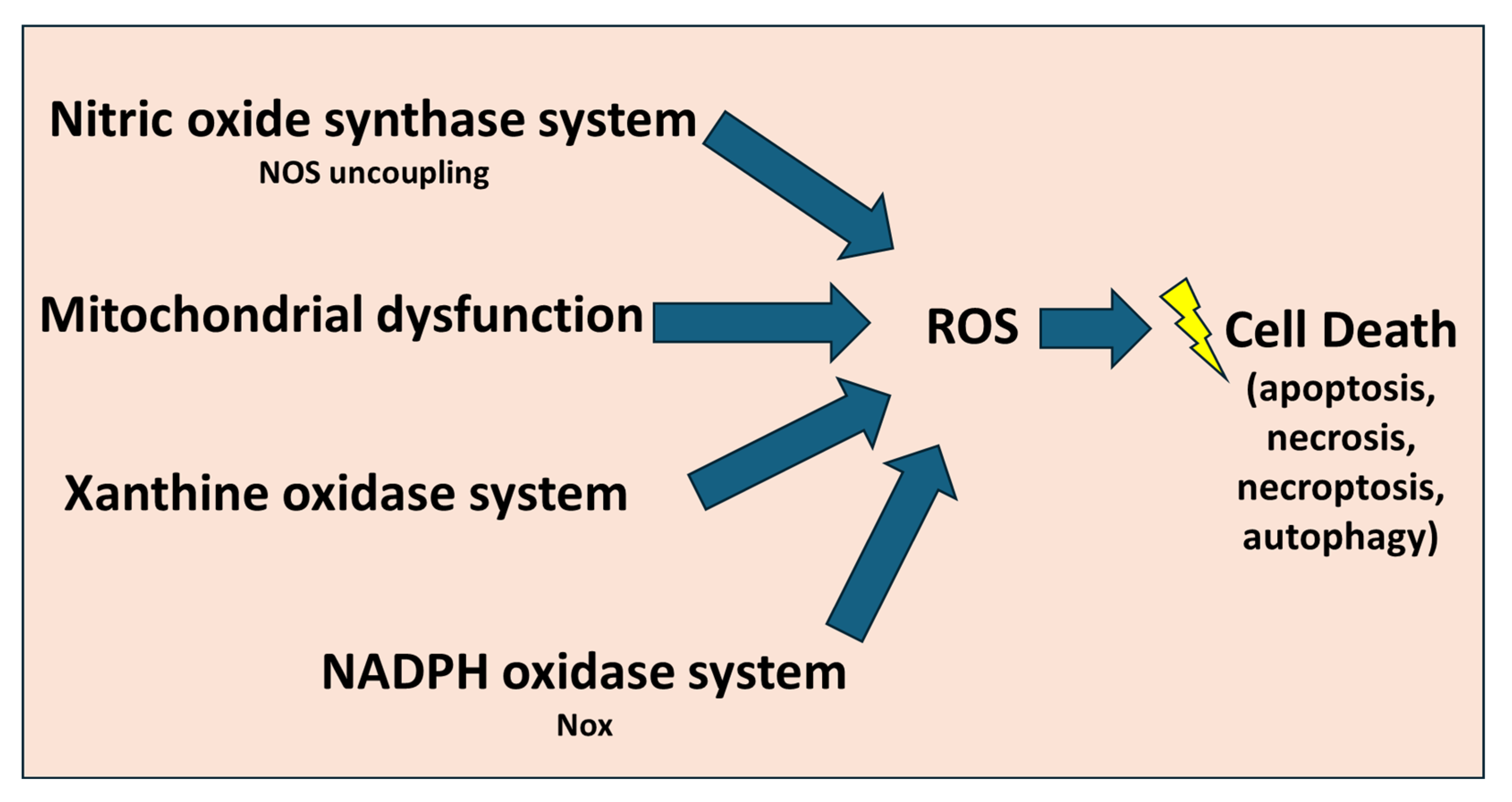 Biomedicines 13 02084 g003