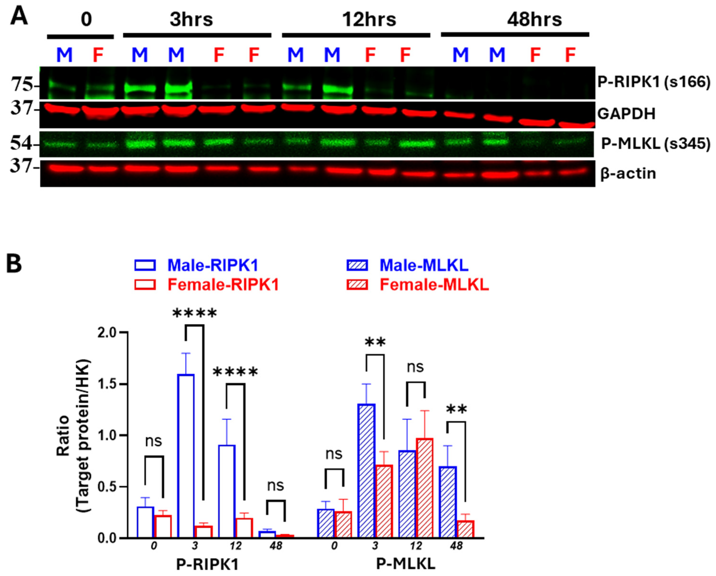 Biomedicines 13 02085 g005
