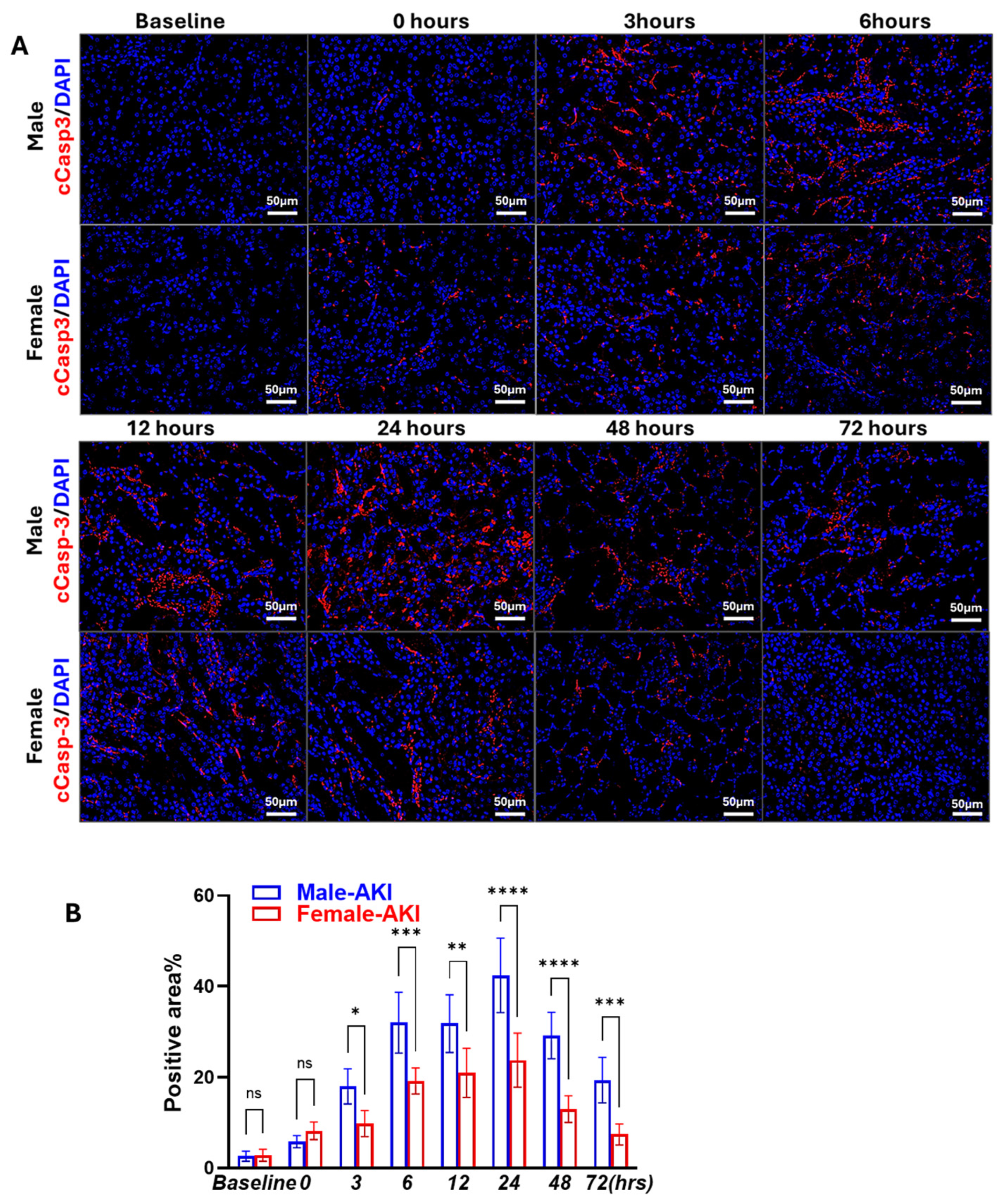 Biomedicines 13 02085 g006