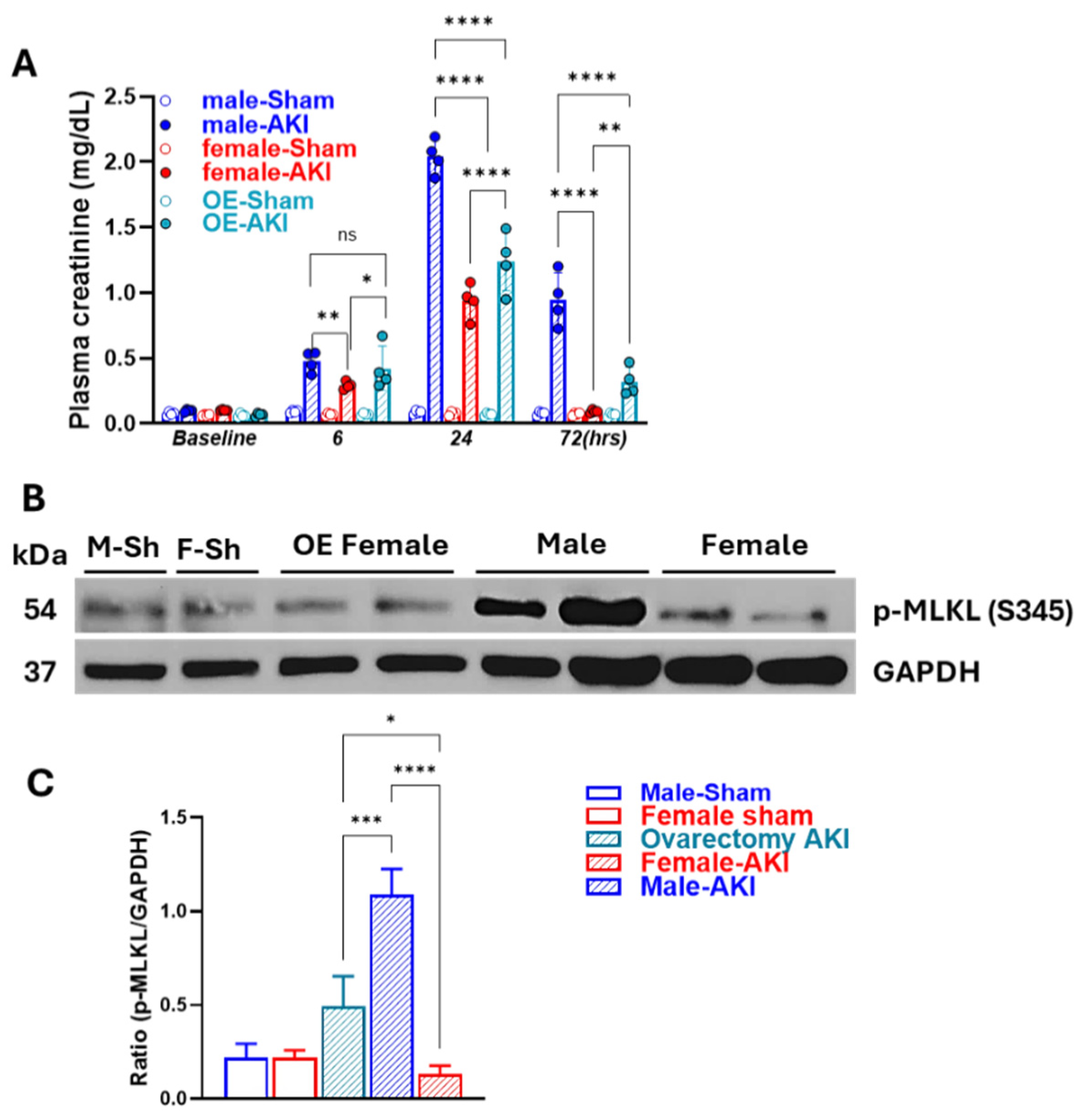 Biomedicines 13 02085 g008