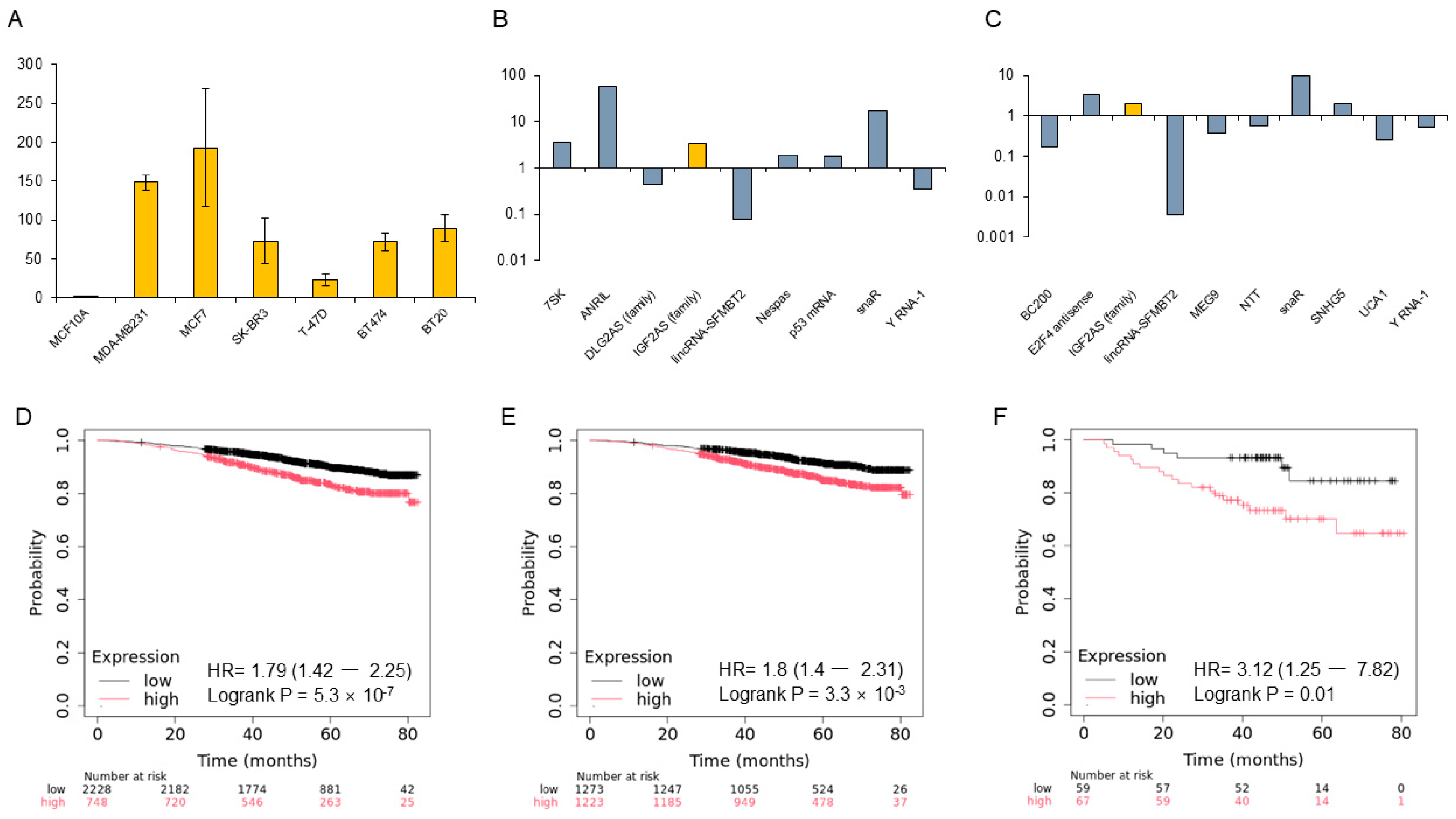 Biomedicines 13 02087 g001 Biomedicines 13 02087 g001