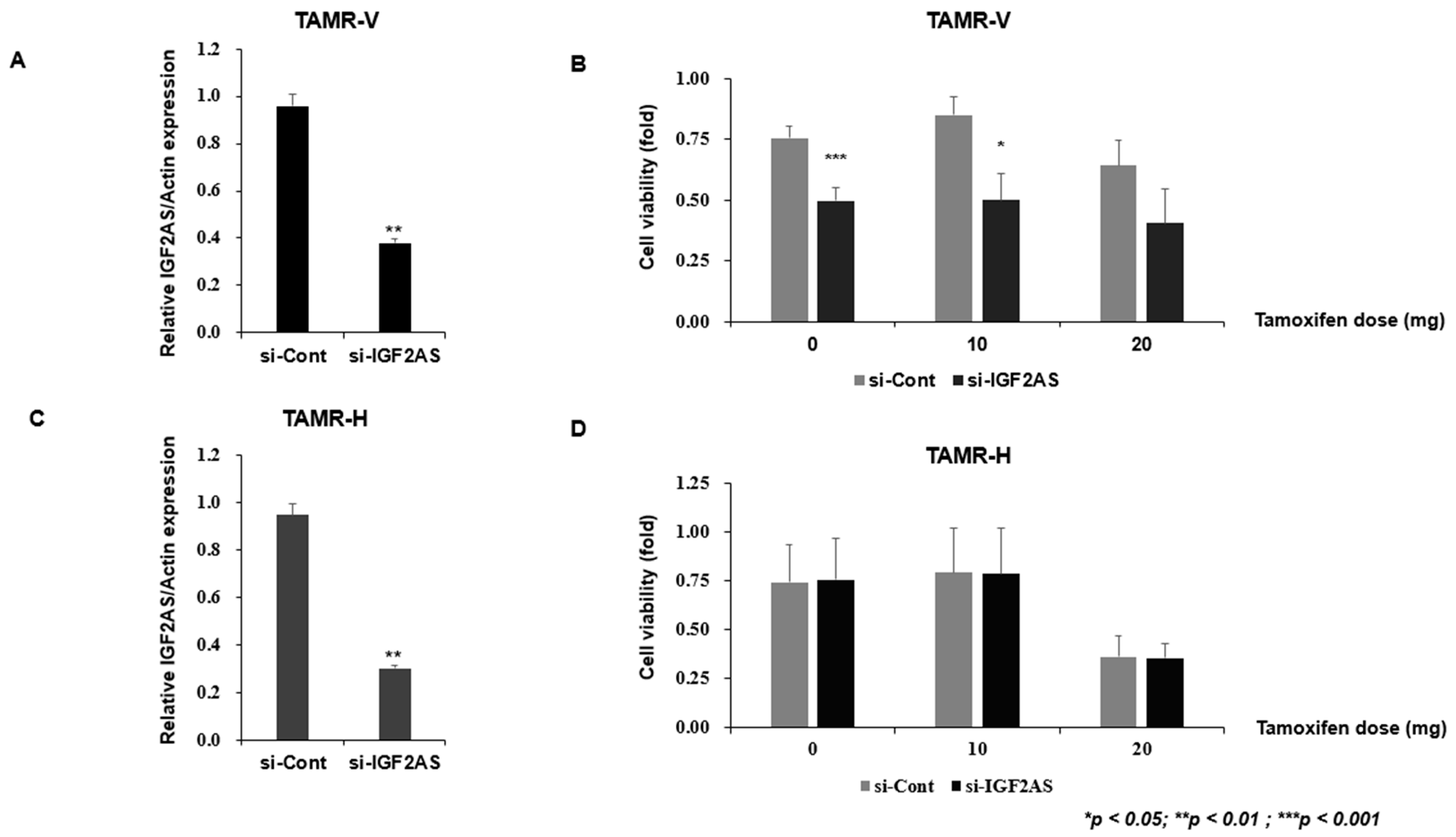 Biomedicines 13 02087 g003 Biomedicines 13 02087 g003