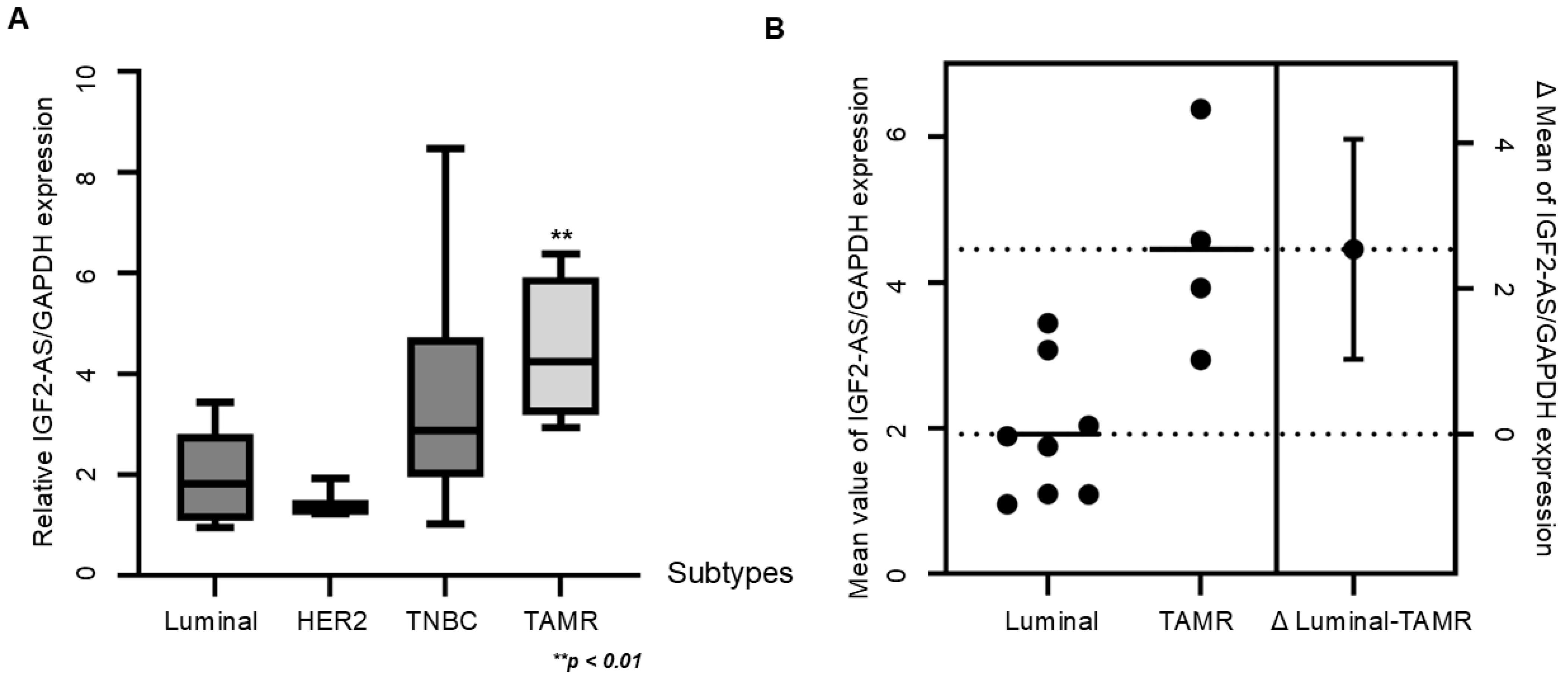 Biomedicines 13 02087 g006 Biomedicines 13 02087 g006