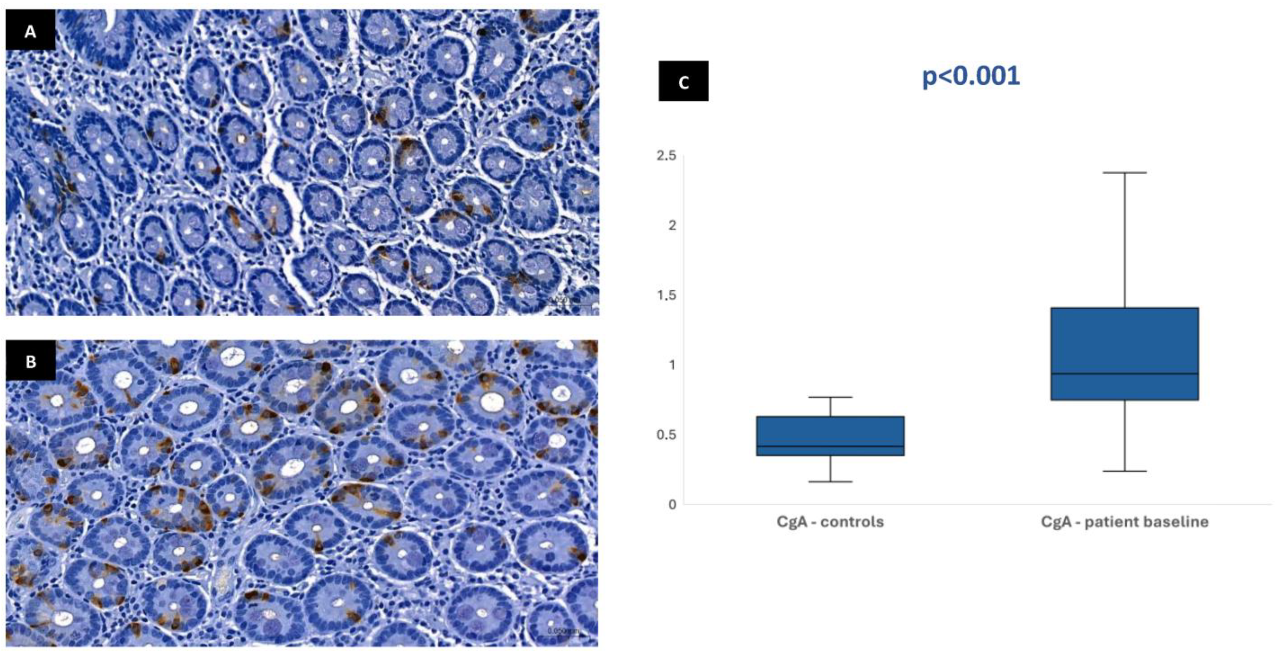 Biomedicines 13 02088 g001
