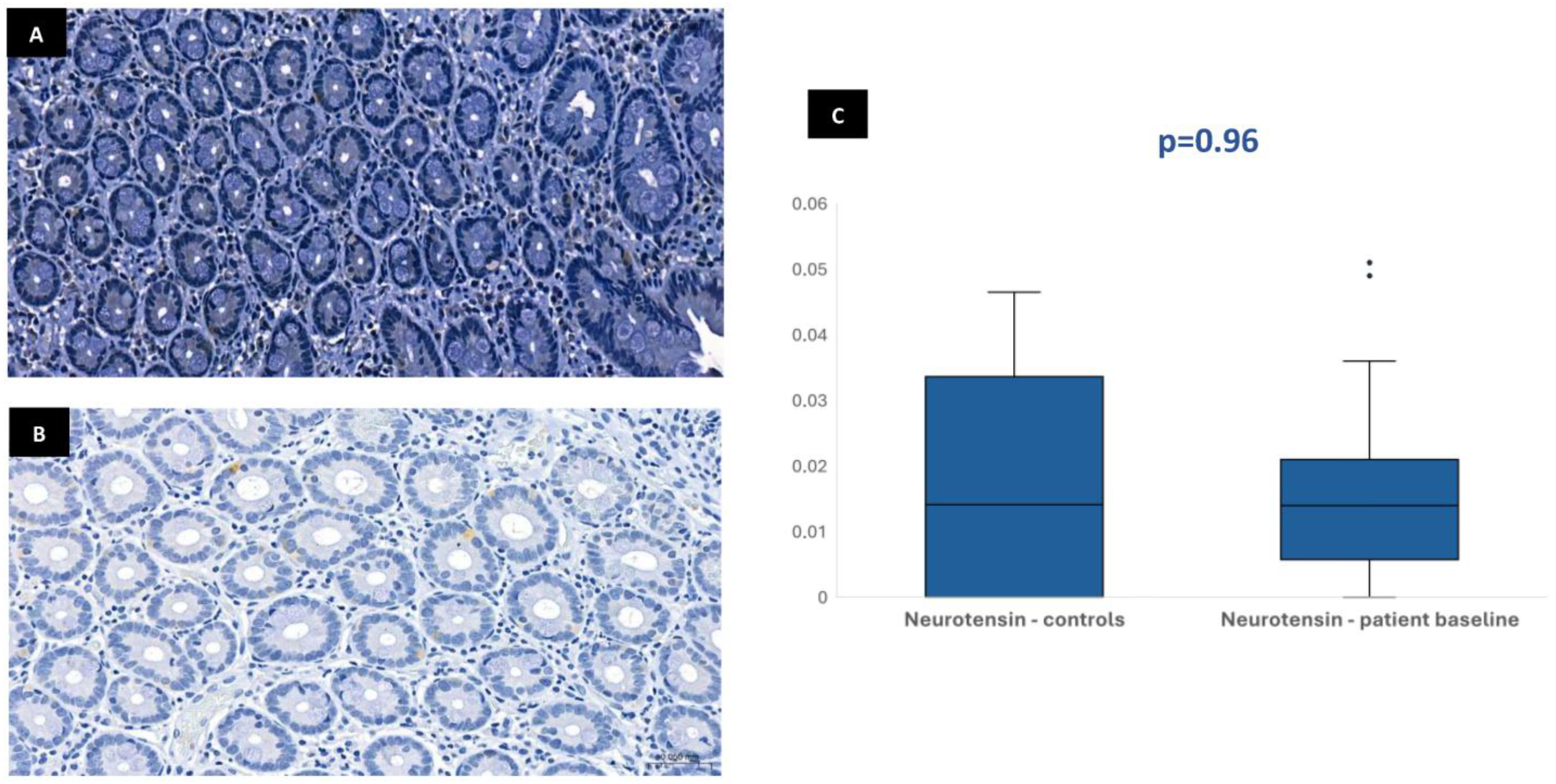 Biomedicines 13 02088 g002