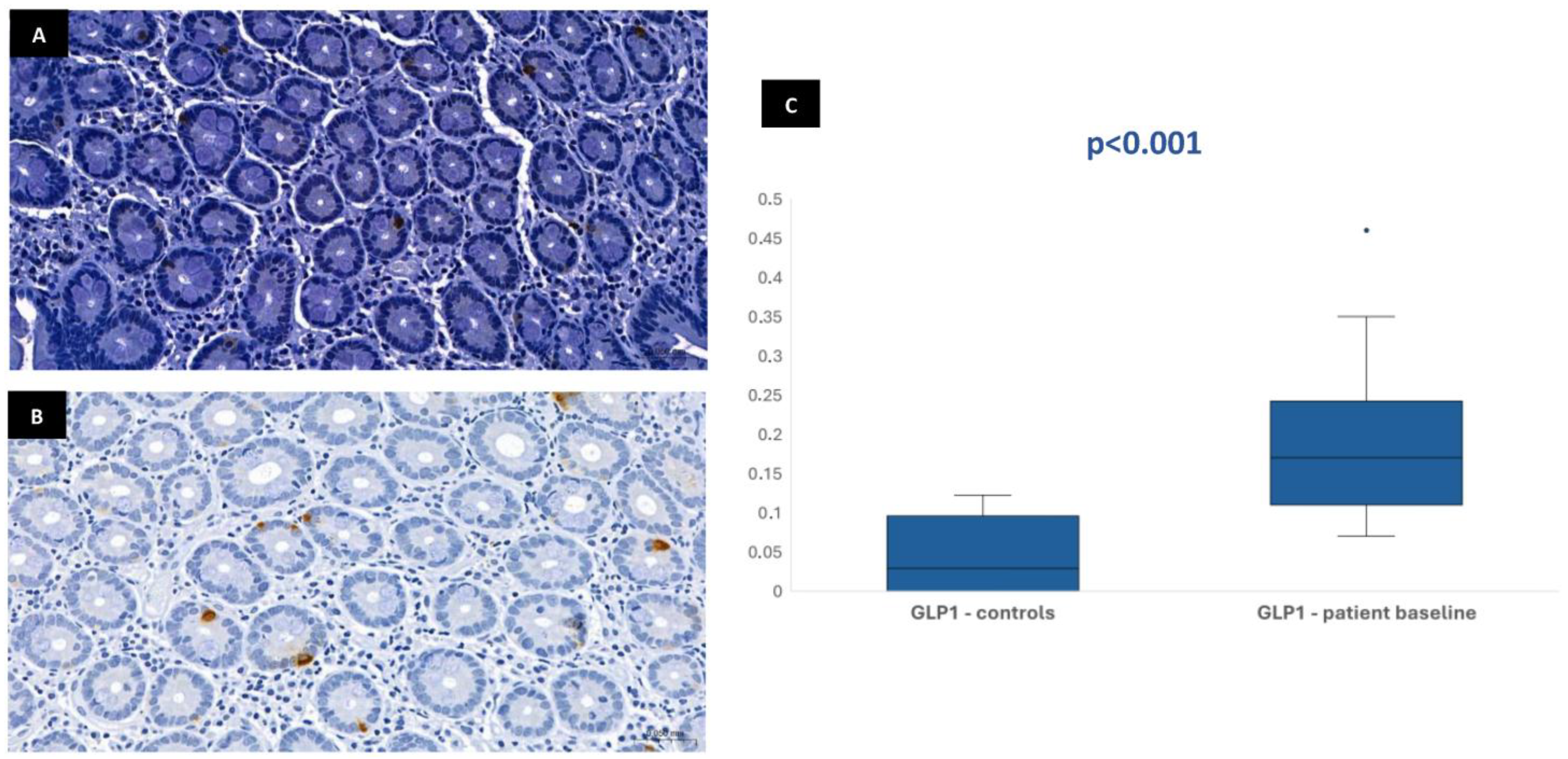 Biomedicines 13 02088 g003