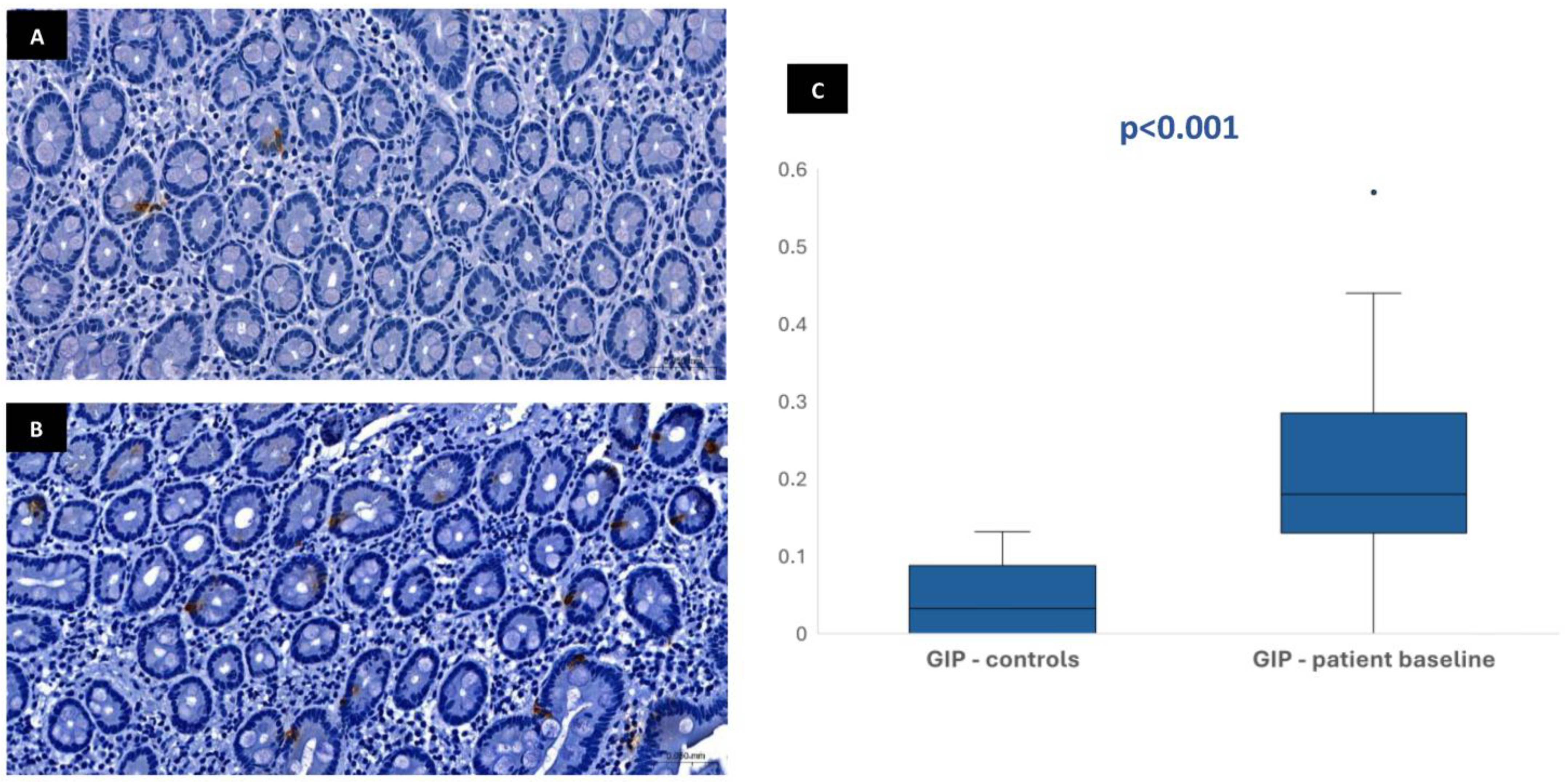 Biomedicines 13 02088 g004