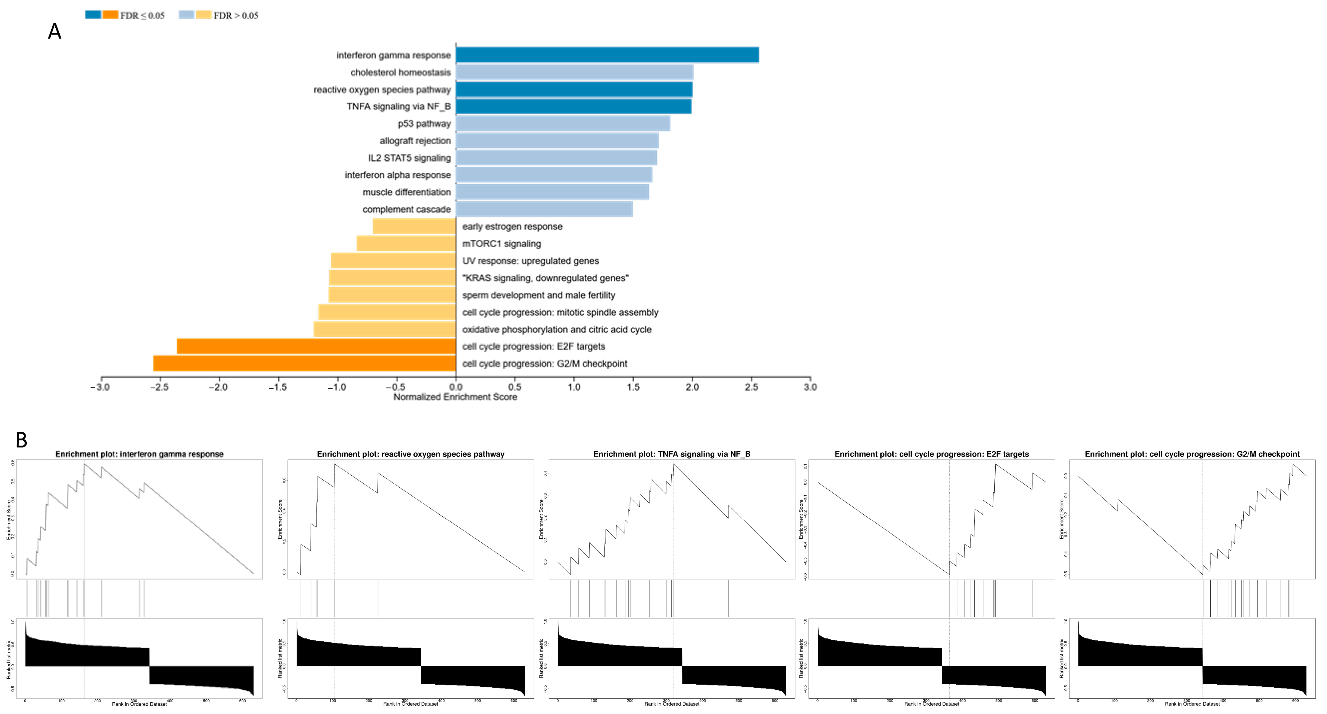 Biomedicines 13 02090 g002 Biomedicines 13 02090 g002