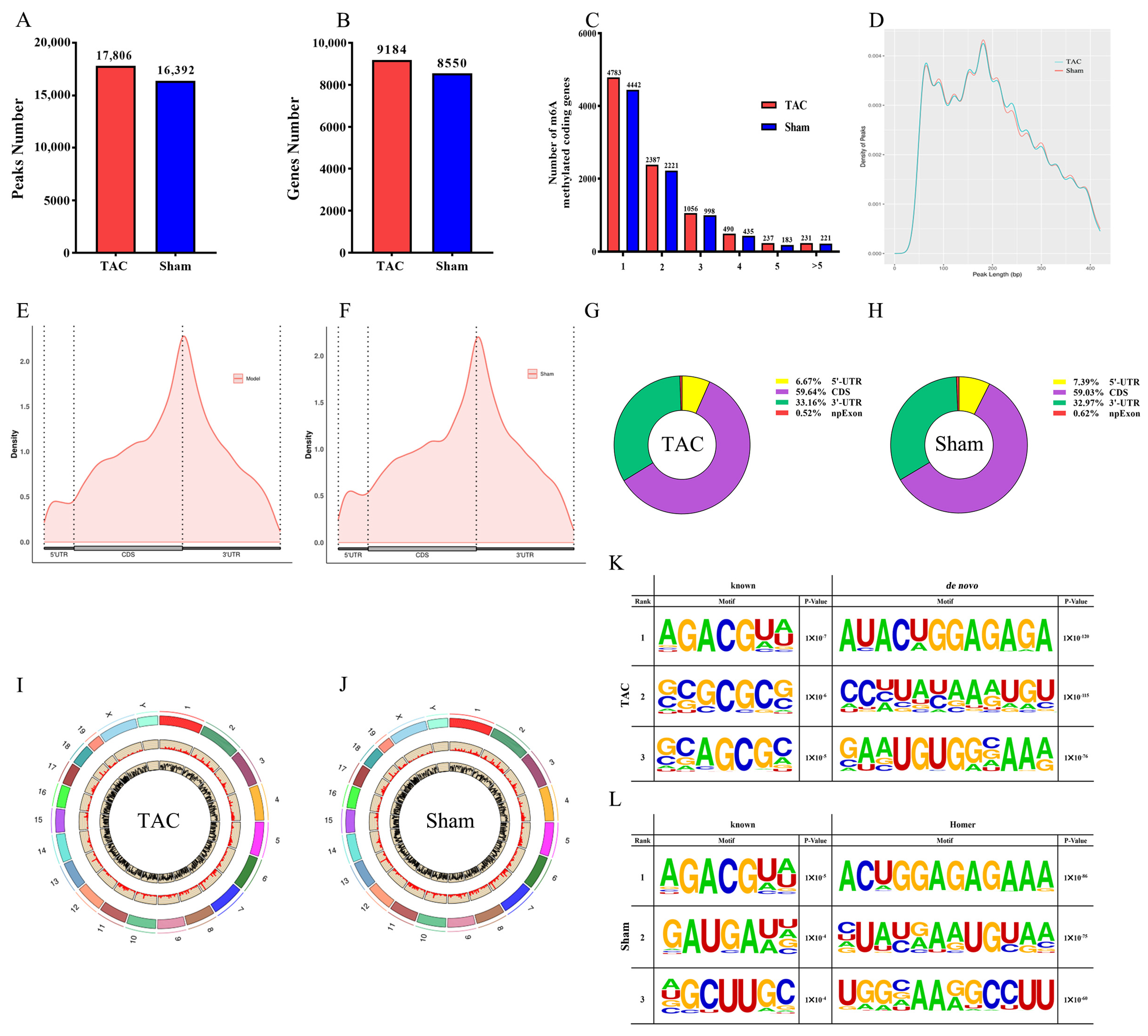 Biomedicines 13 02092 g003 Biomedicines 13 02092 g003
