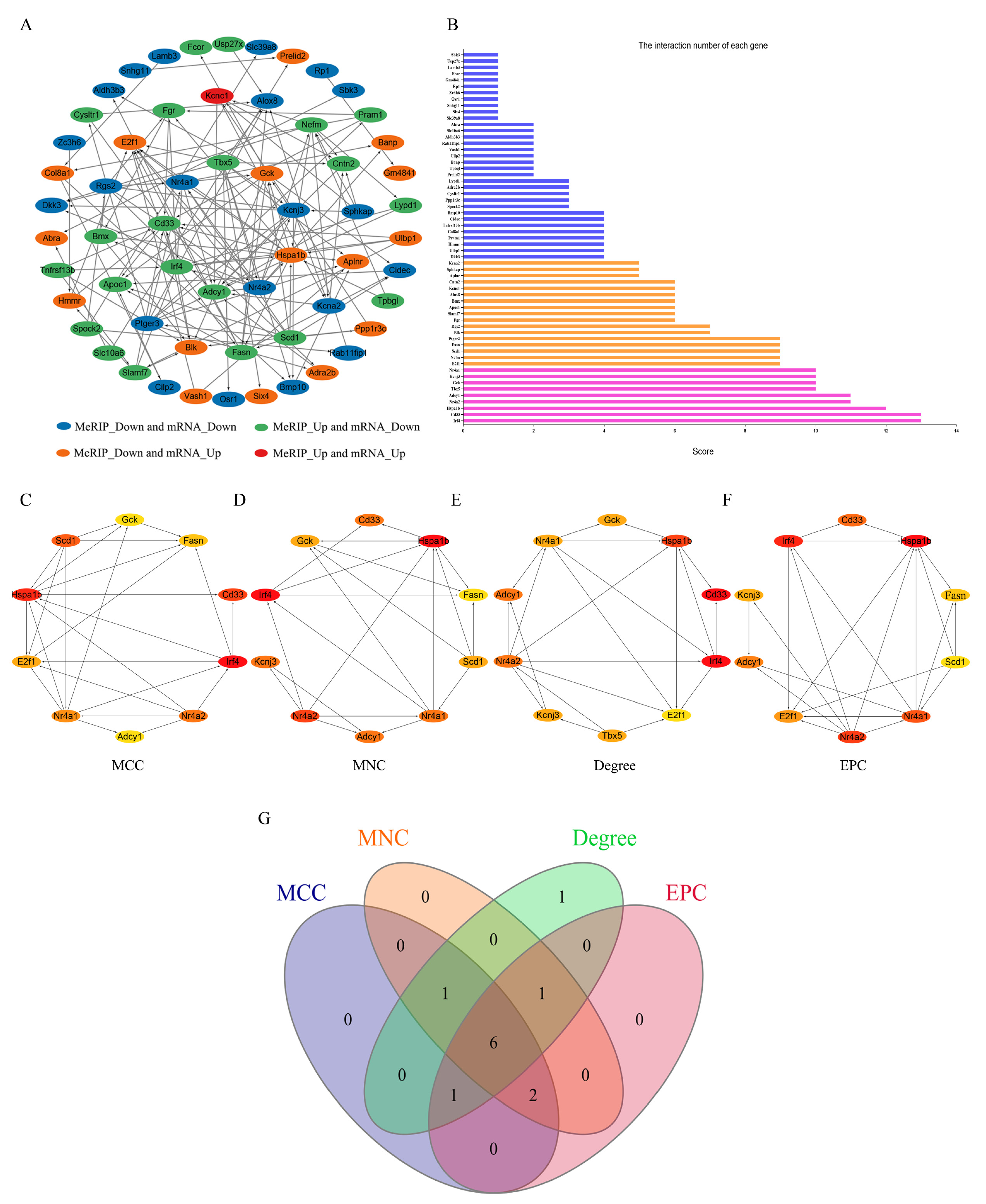 Biomedicines 13 02092 g005 Biomedicines 13 02092 g005