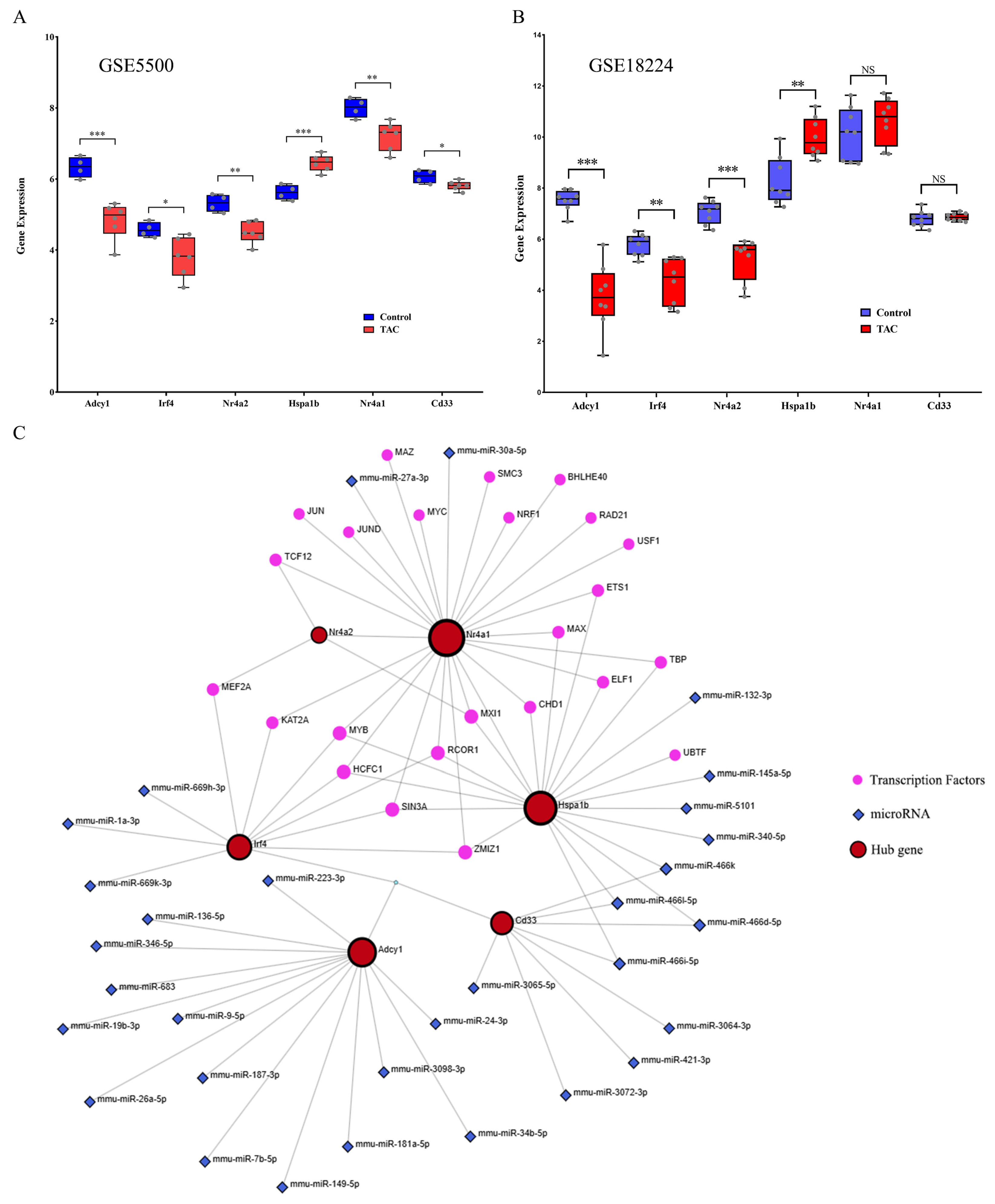 Biomedicines 13 02092 g006 Biomedicines 13 02092 g006