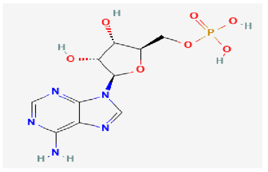 Biomedicines 13 02092 i005 Biomedicines 13 02092 i005