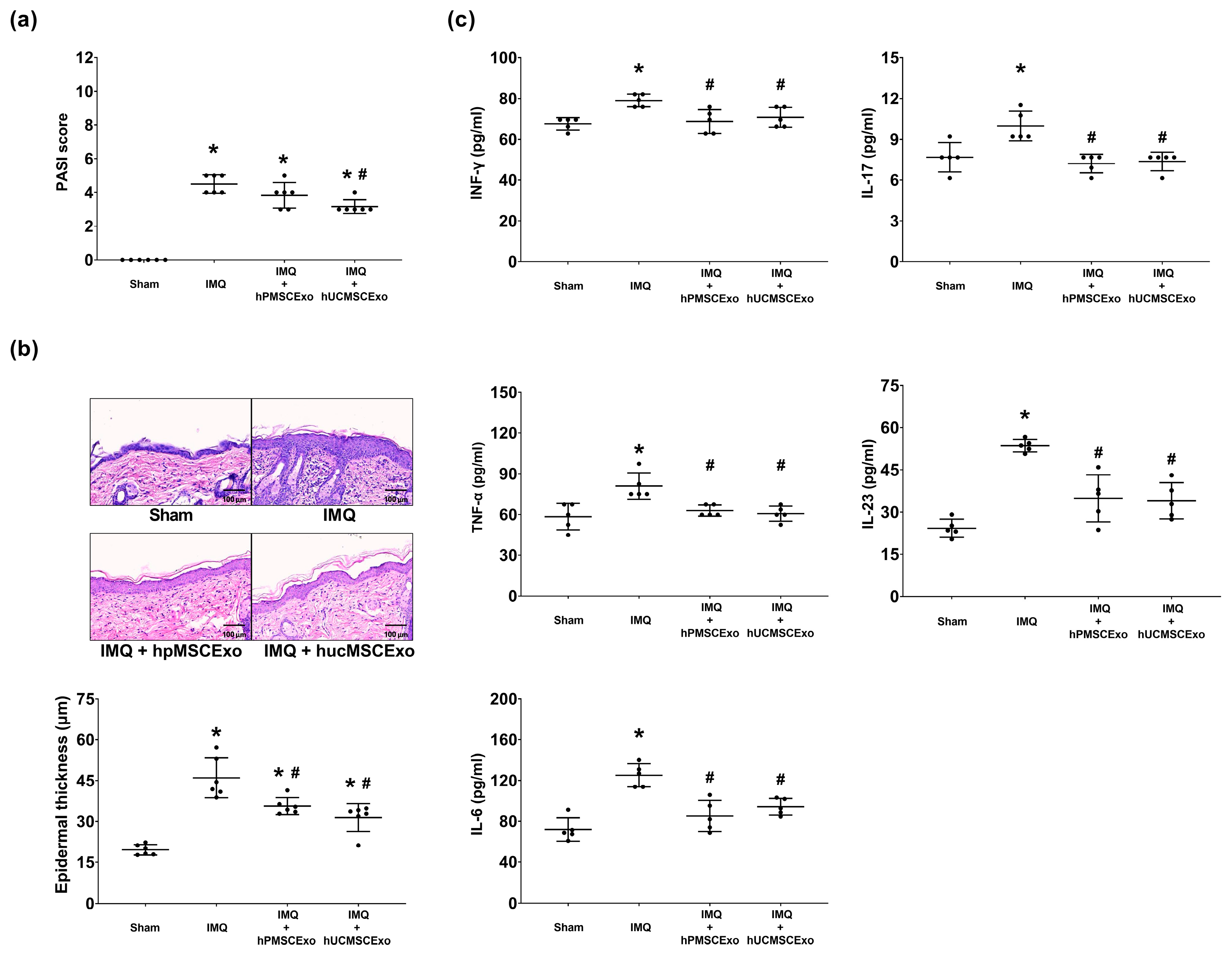 Biomedicines 13 02093 g002