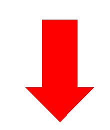 Biomedicines 13 02094 i005 Biomedicines 13 02094 i005