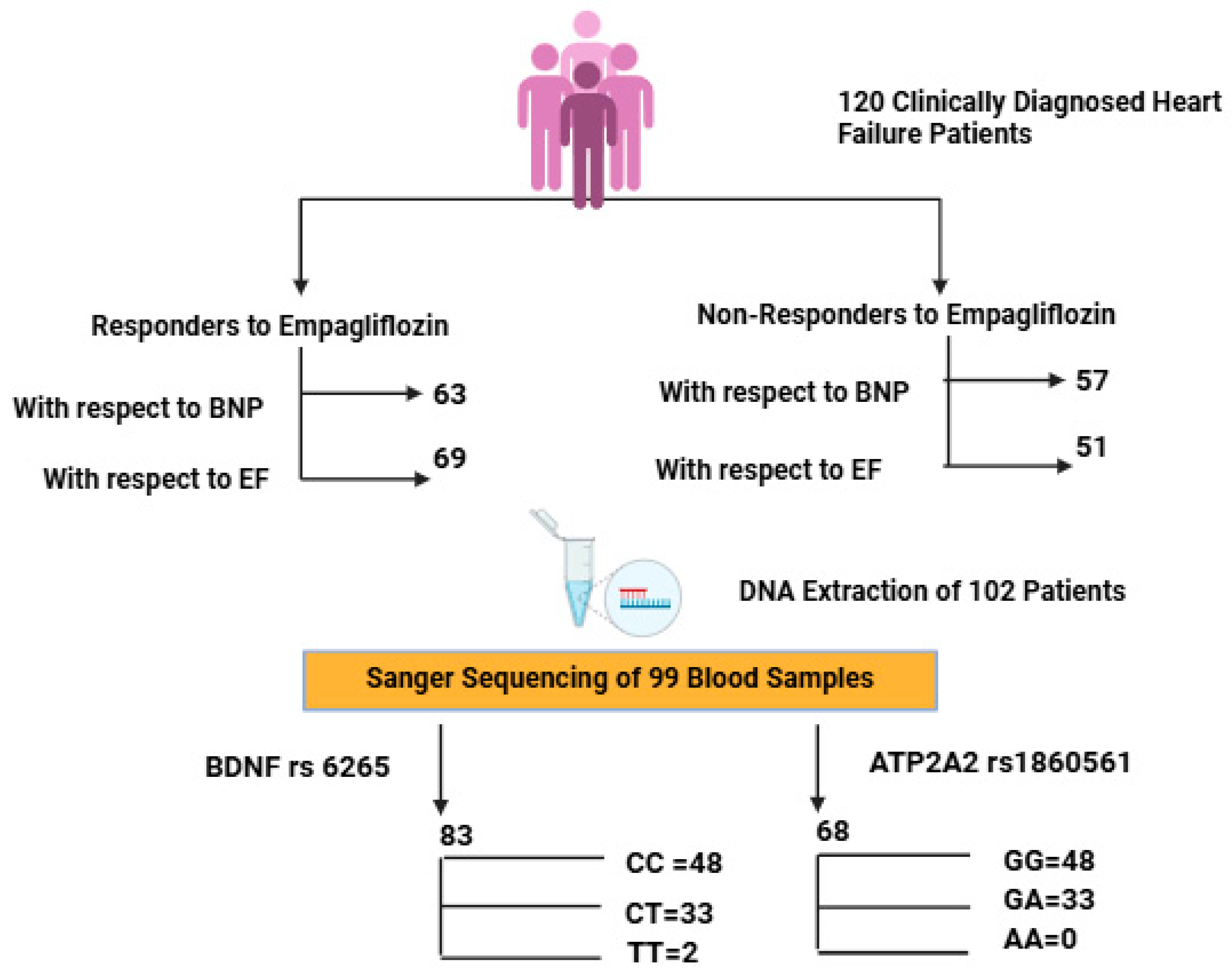 Biomedicines 13 02095 g001 Biomedicines 13 02095 g001