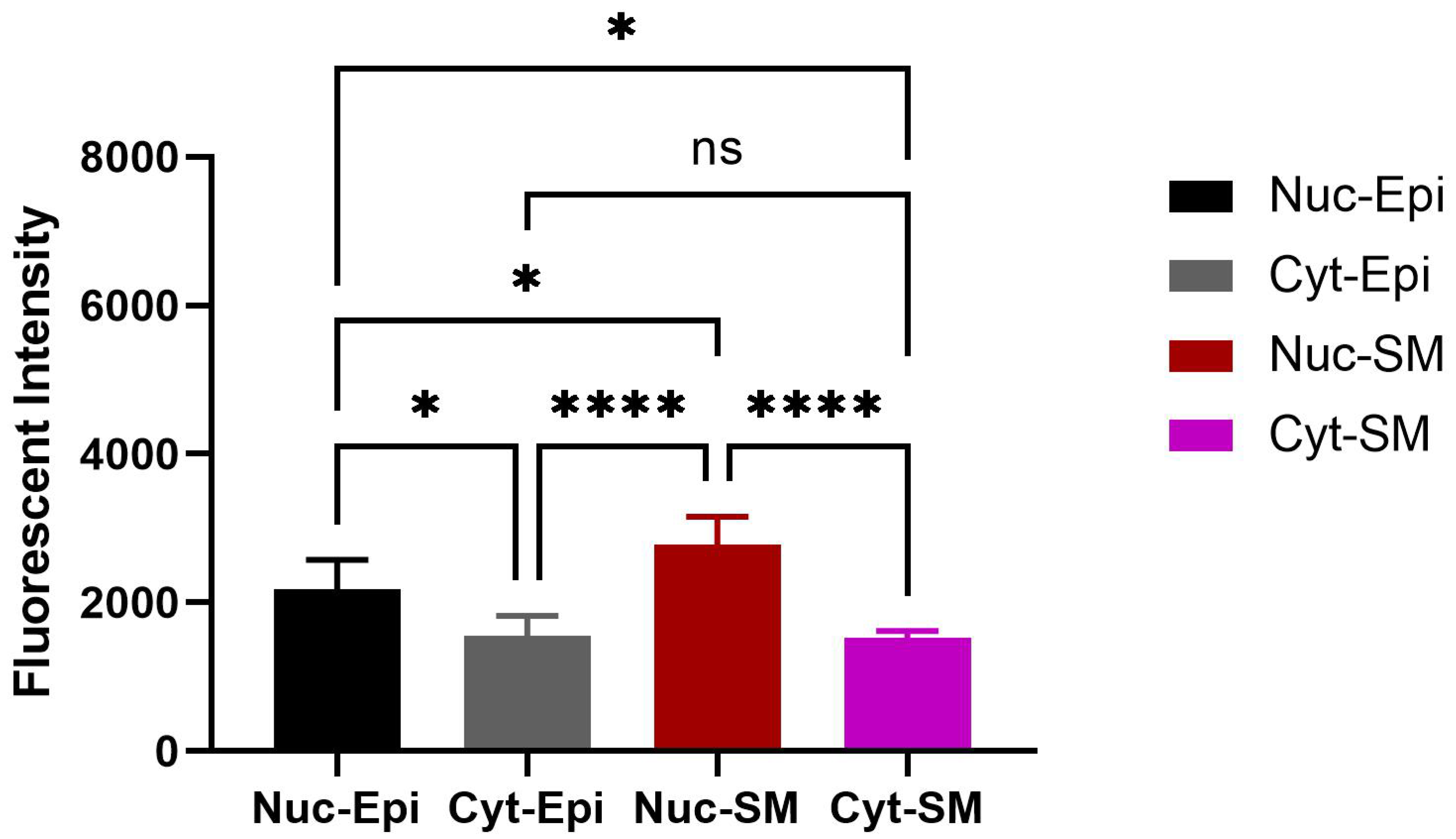 Biomedicines 13 02097 g005