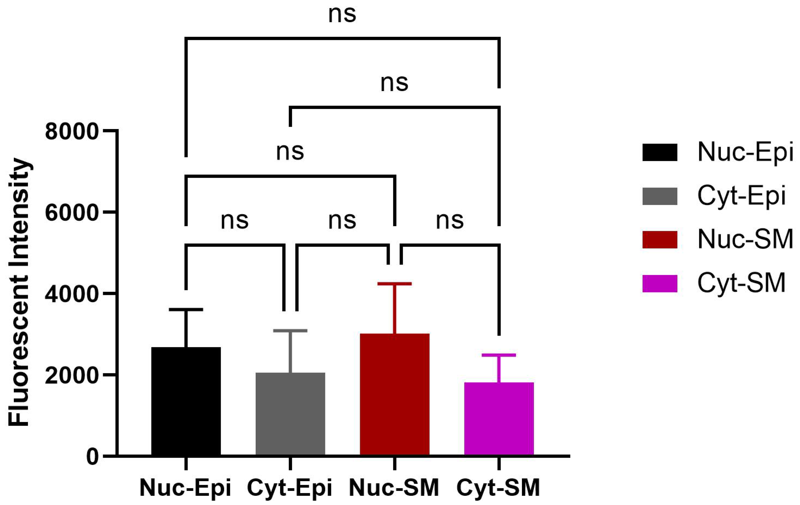 Biomedicines 13 02097 g007