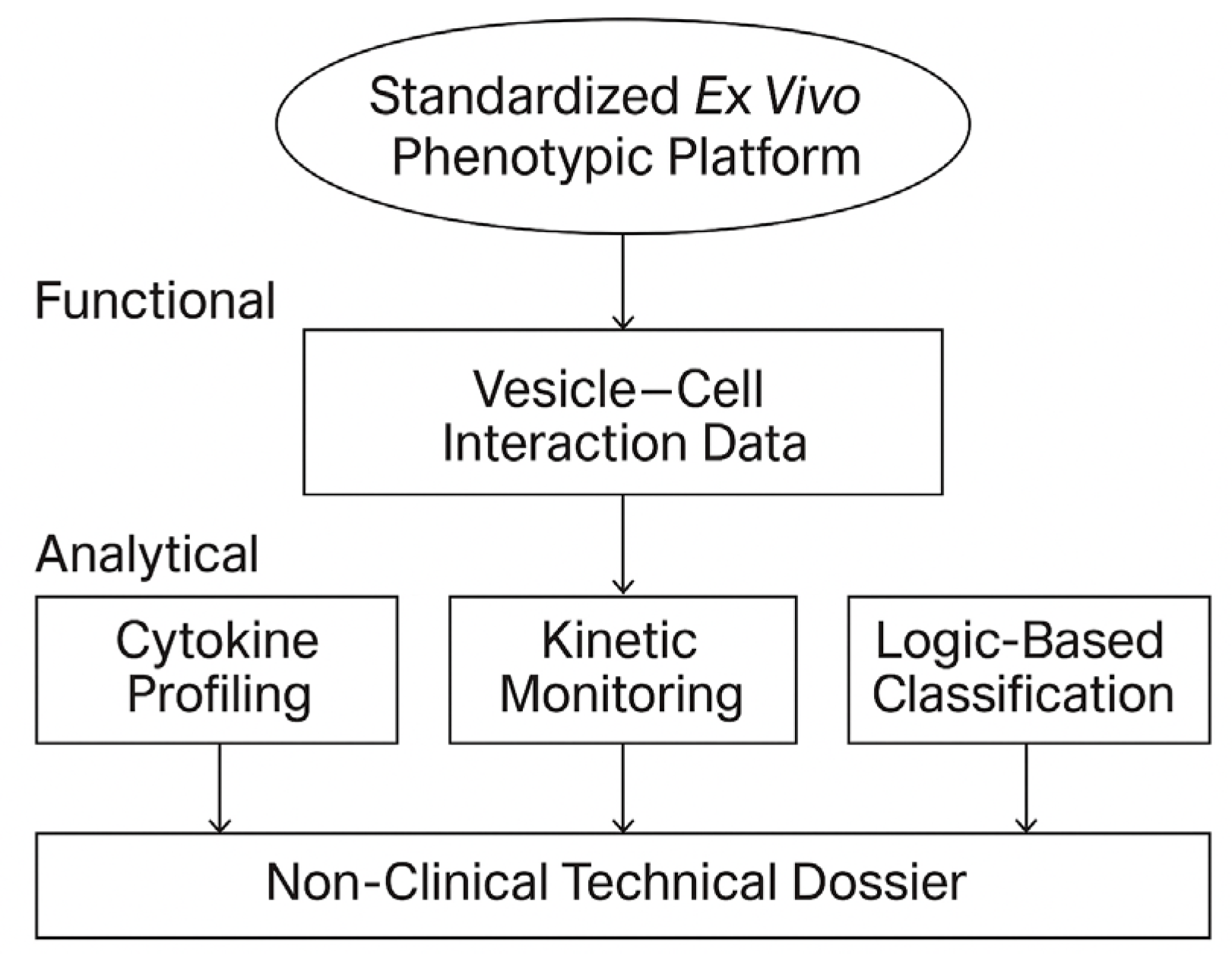 Biomedicines 13 02101 g002