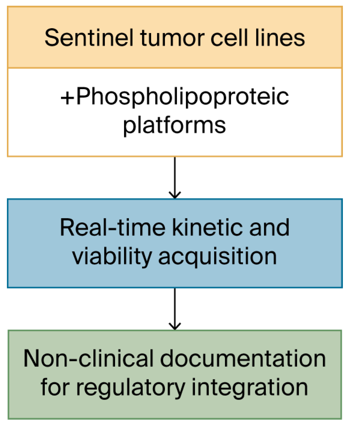 Biomedicines 13 02101 g003