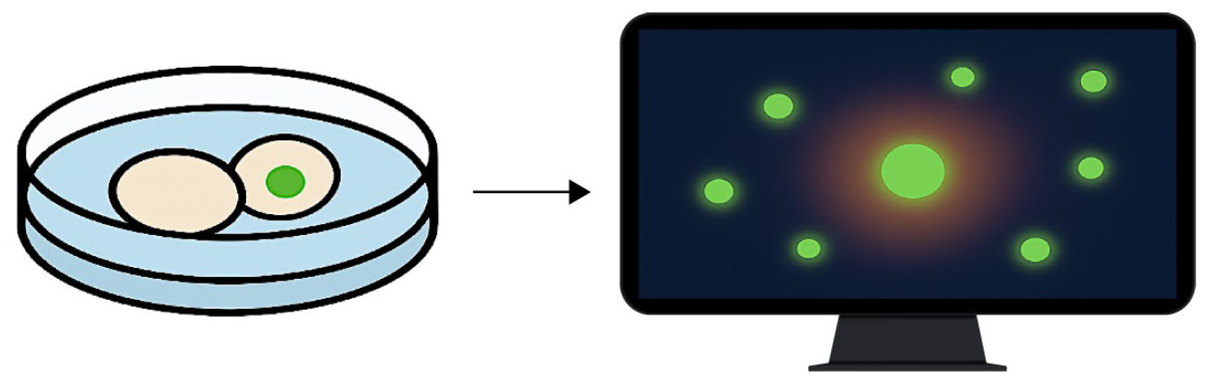 Biomedicines 13 02101 g004