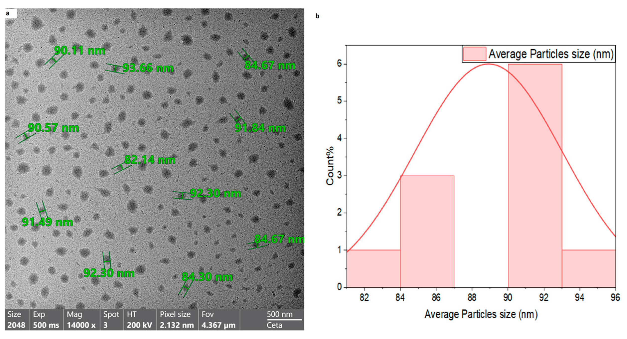 Biomedicines 13 02106 g002 Biomedicines 13 02106 g002