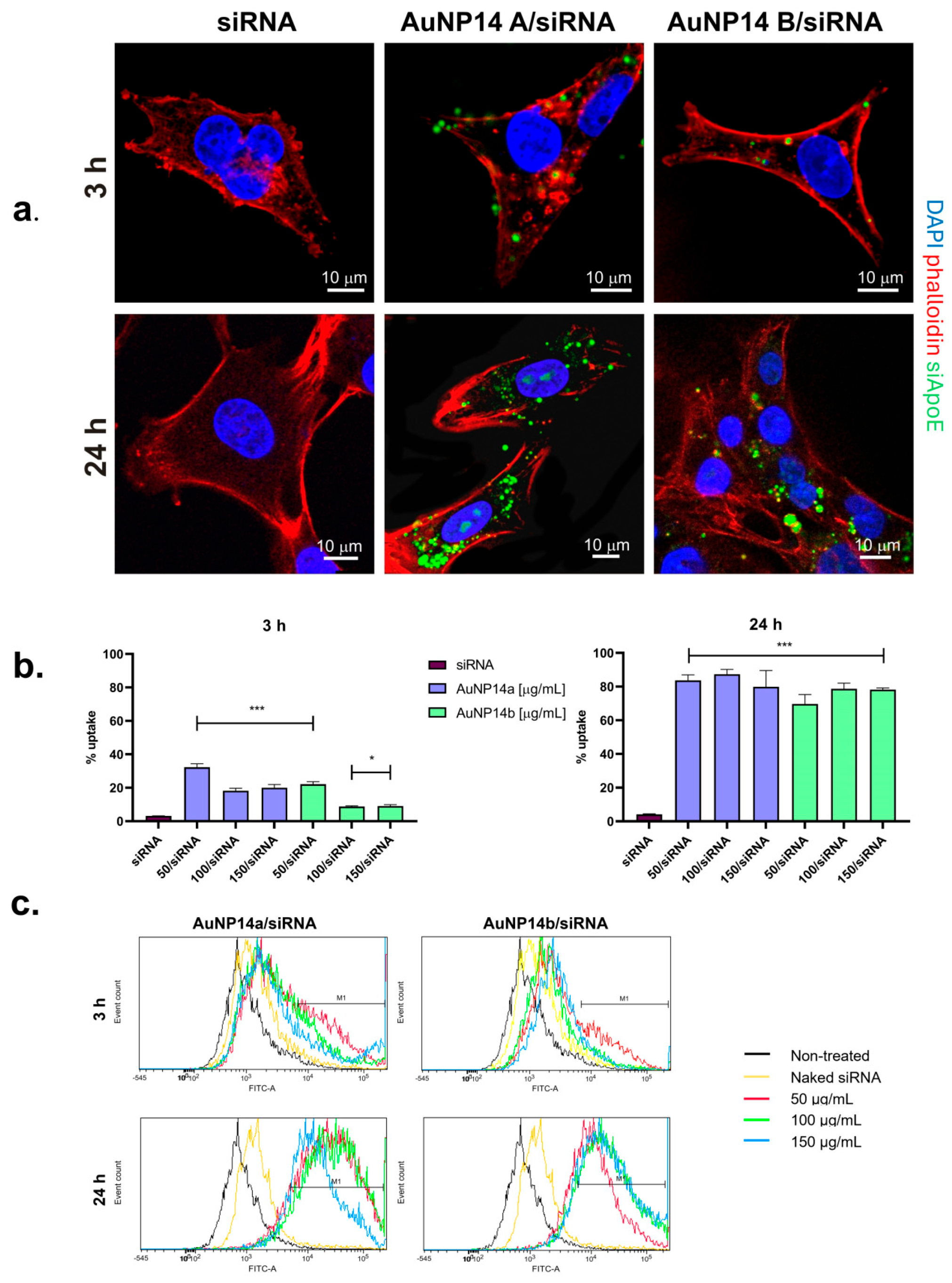 Biomedicines 13 02108 g001