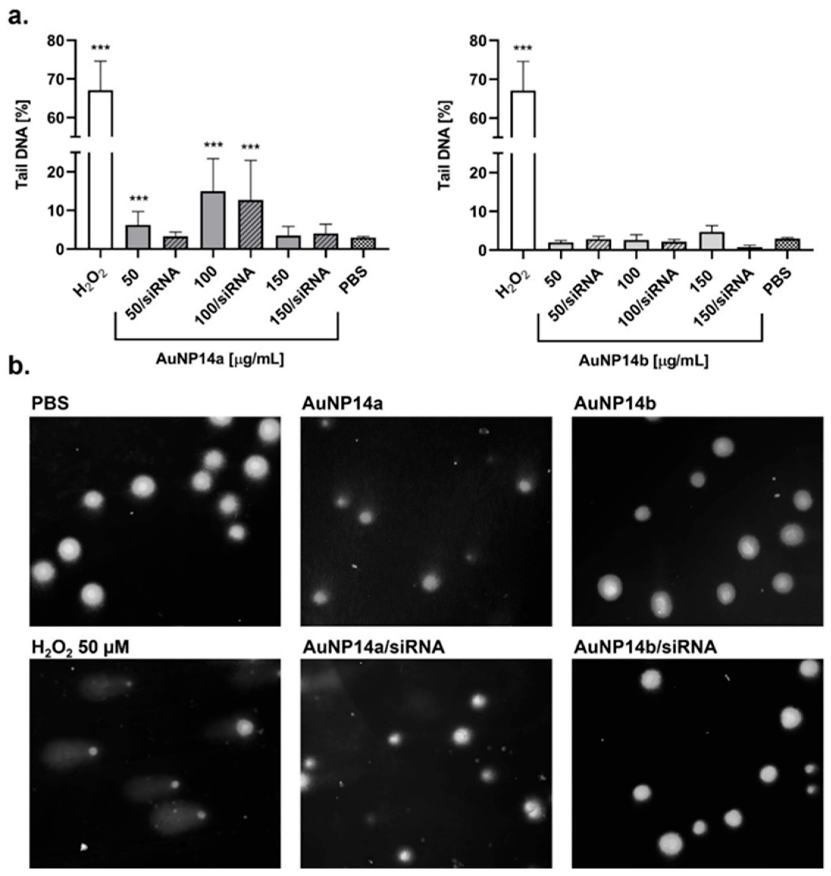 Biomedicines 13 02108 g002