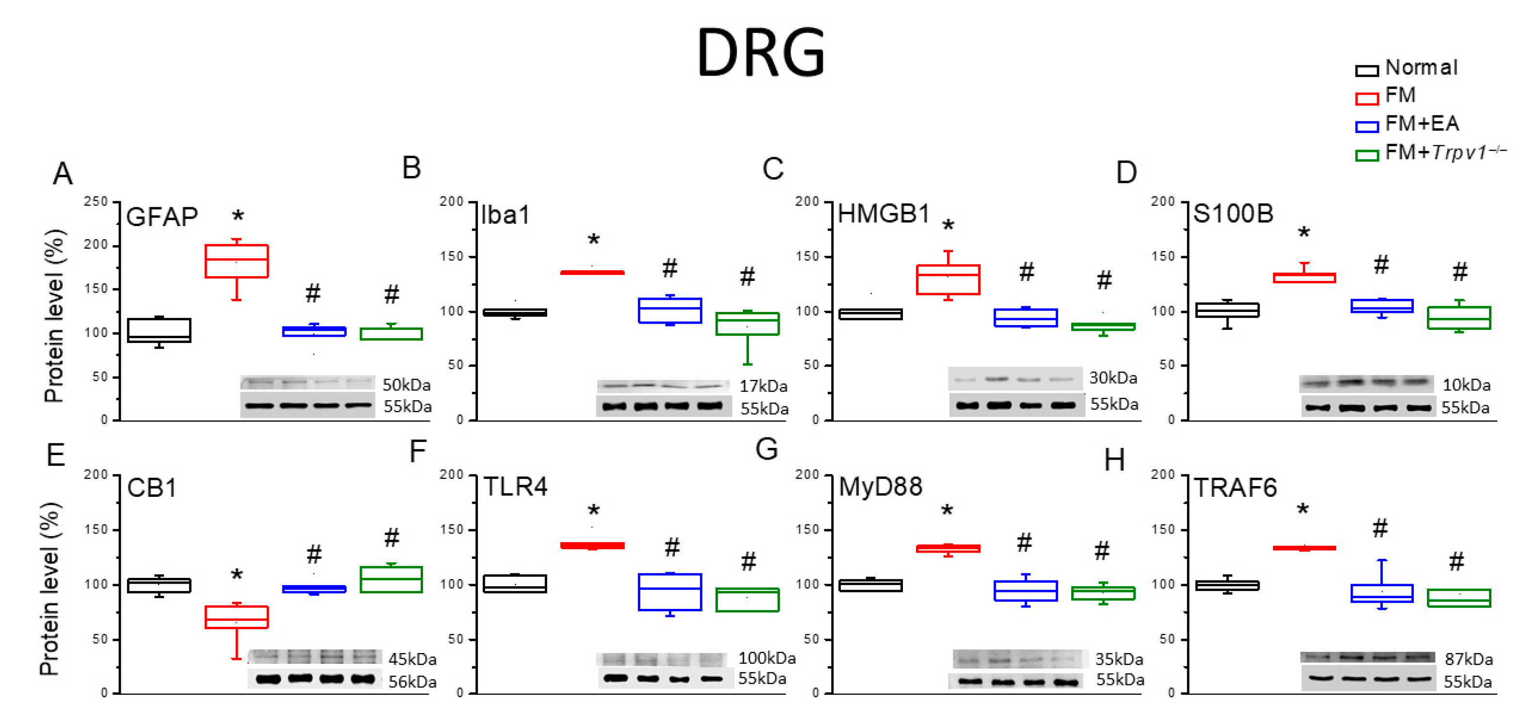 Biomedicines 13 02112 g002
