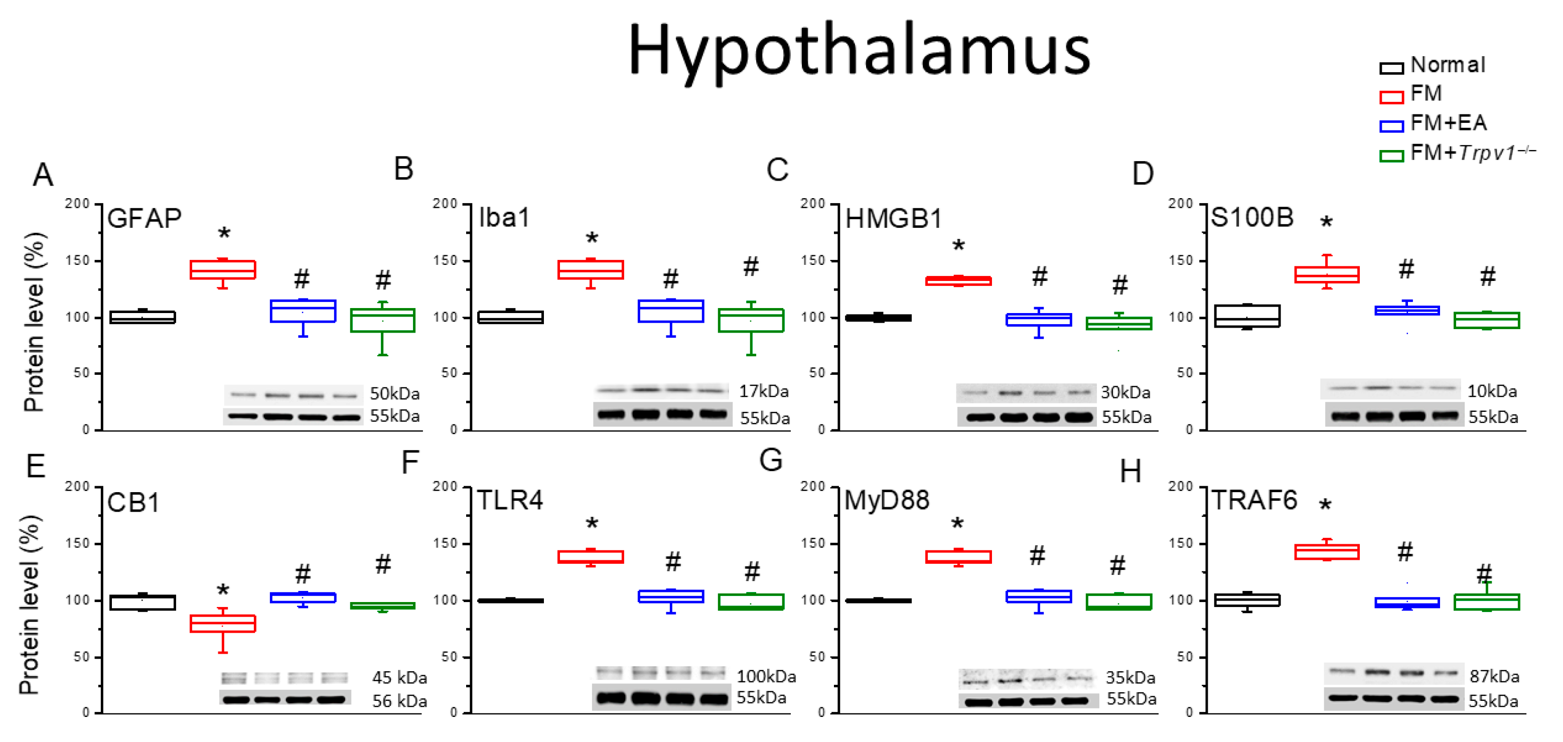 Biomedicines 13 02112 g004