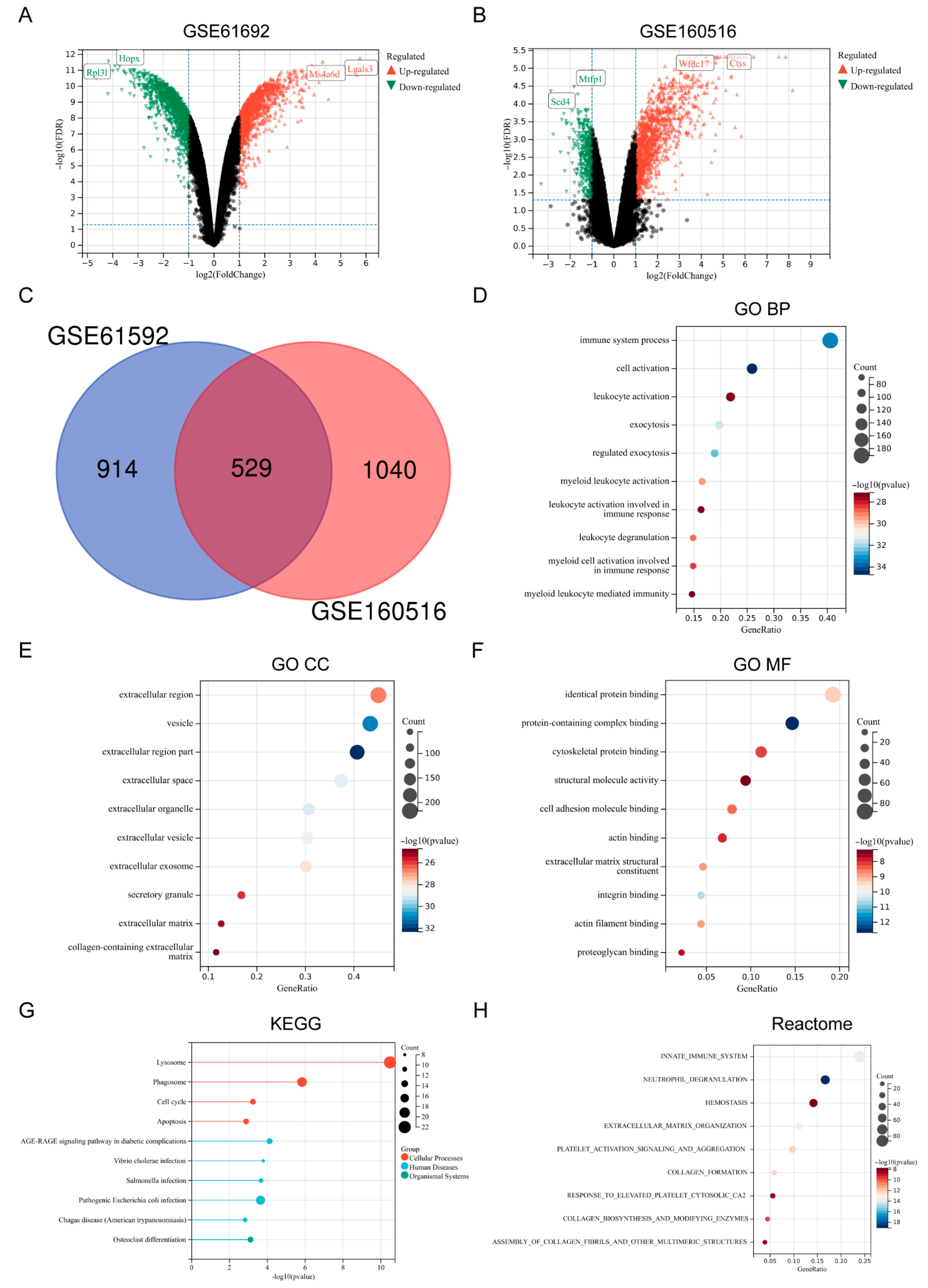 Biomedicines 13 02114 g001 Biomedicines 13 02114 g001