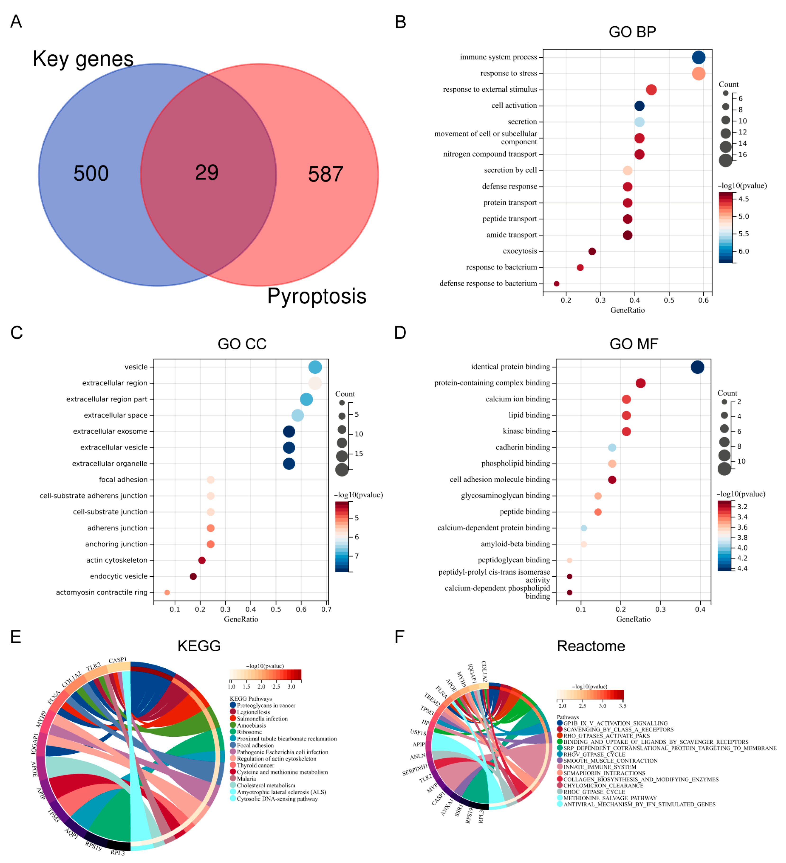 Biomedicines 13 02114 g002 Biomedicines 13 02114 g002