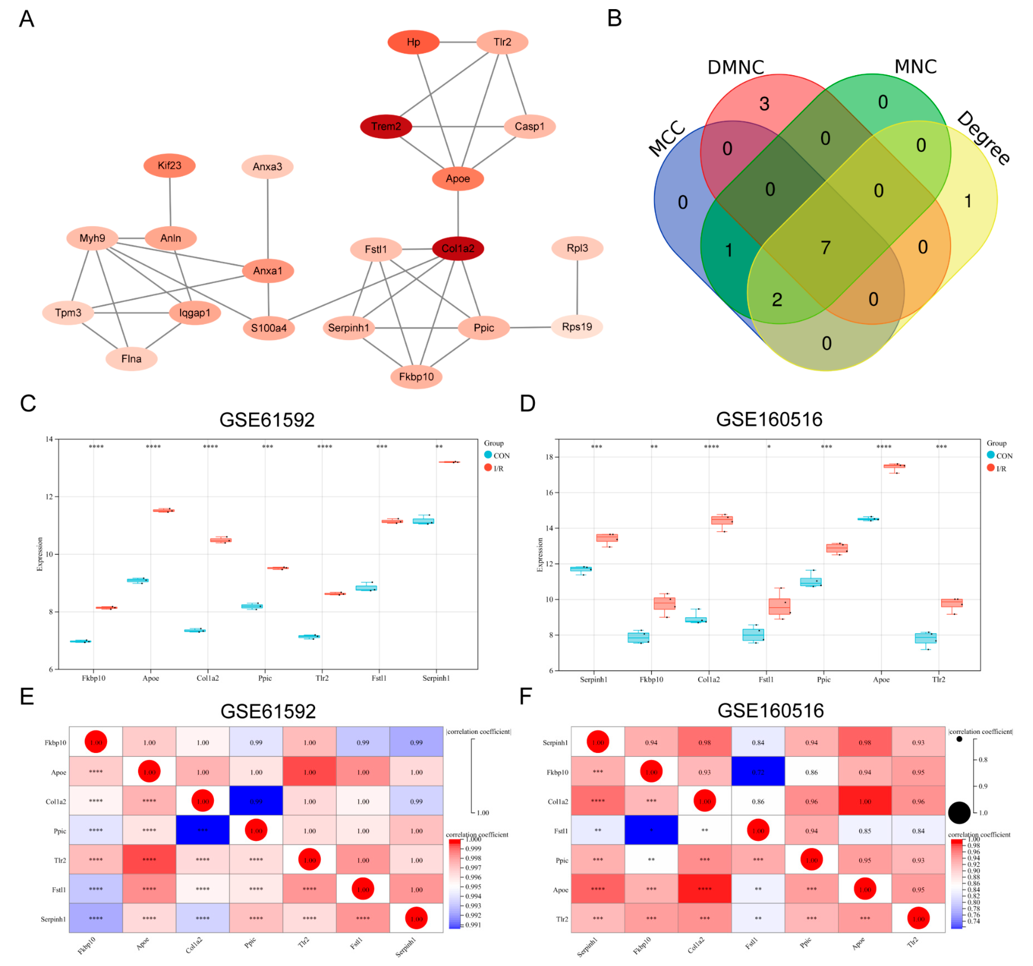 Biomedicines 13 02114 g003 Biomedicines 13 02114 g003