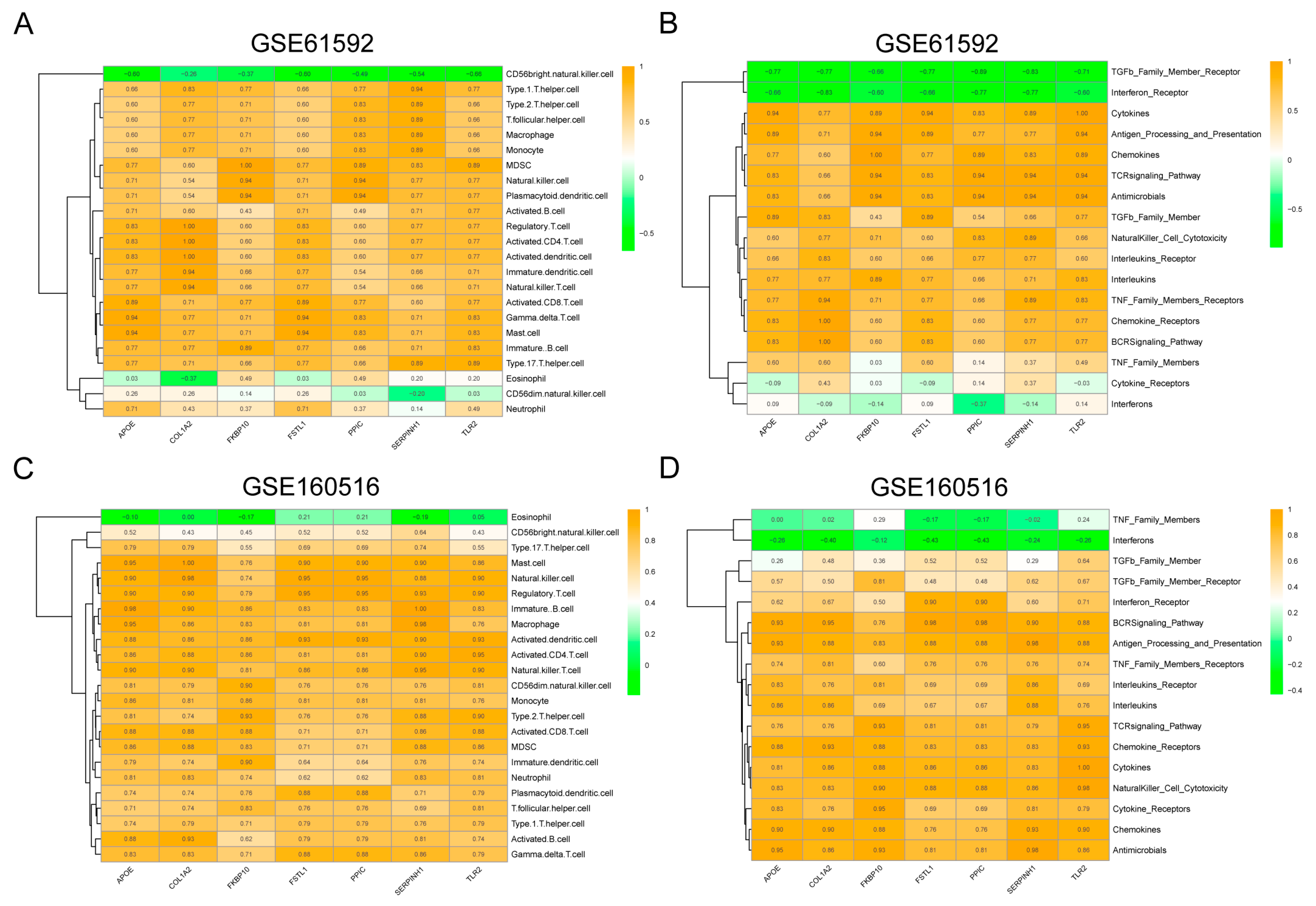 Biomedicines 13 02114 g004 Biomedicines 13 02114 g004