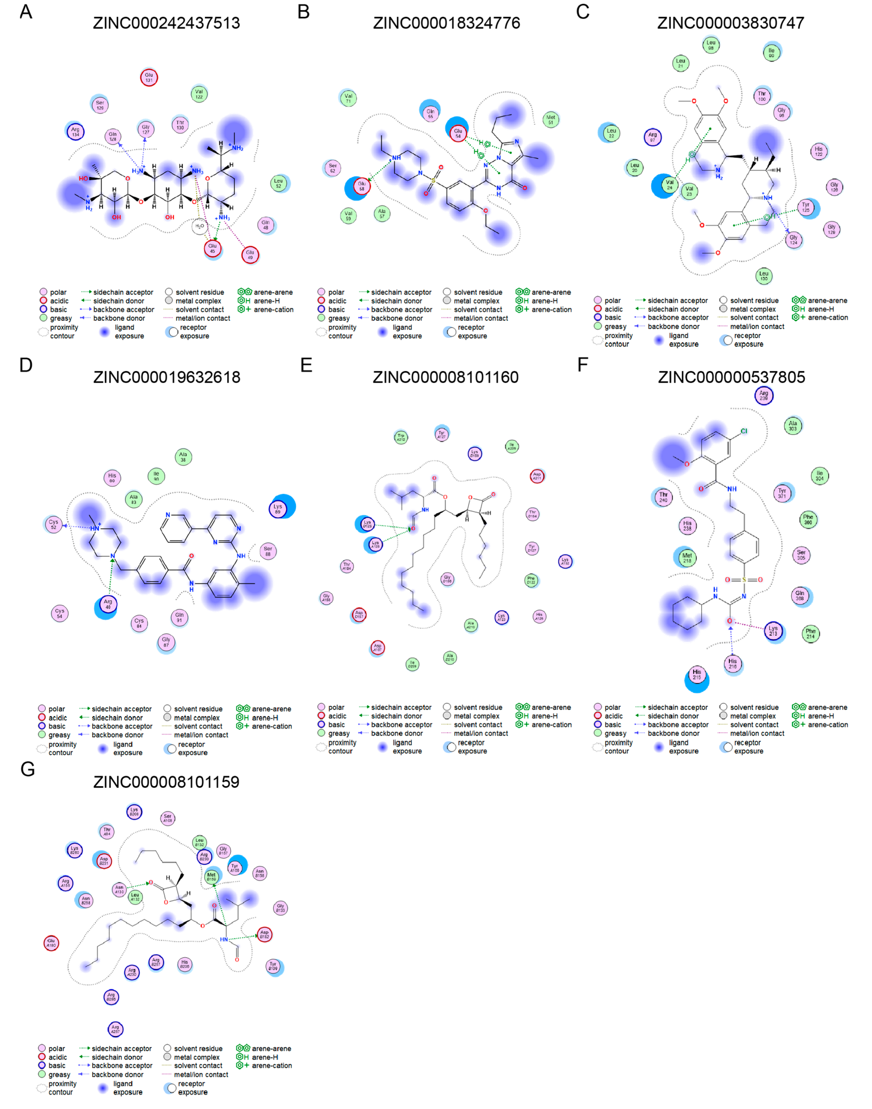 Biomedicines 13 02114 g005 Biomedicines 13 02114 g005