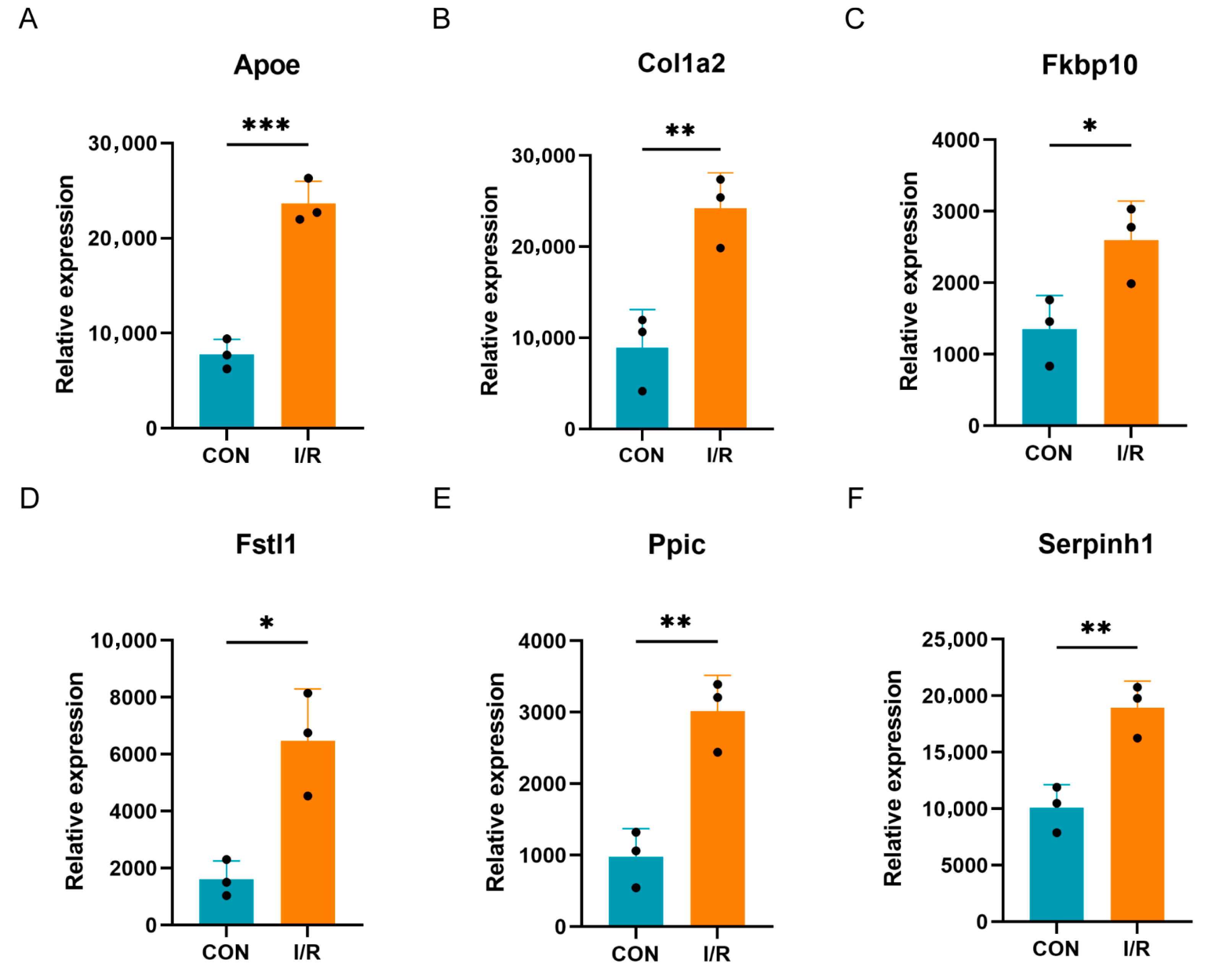 Biomedicines 13 02114 g006 Biomedicines 13 02114 g006