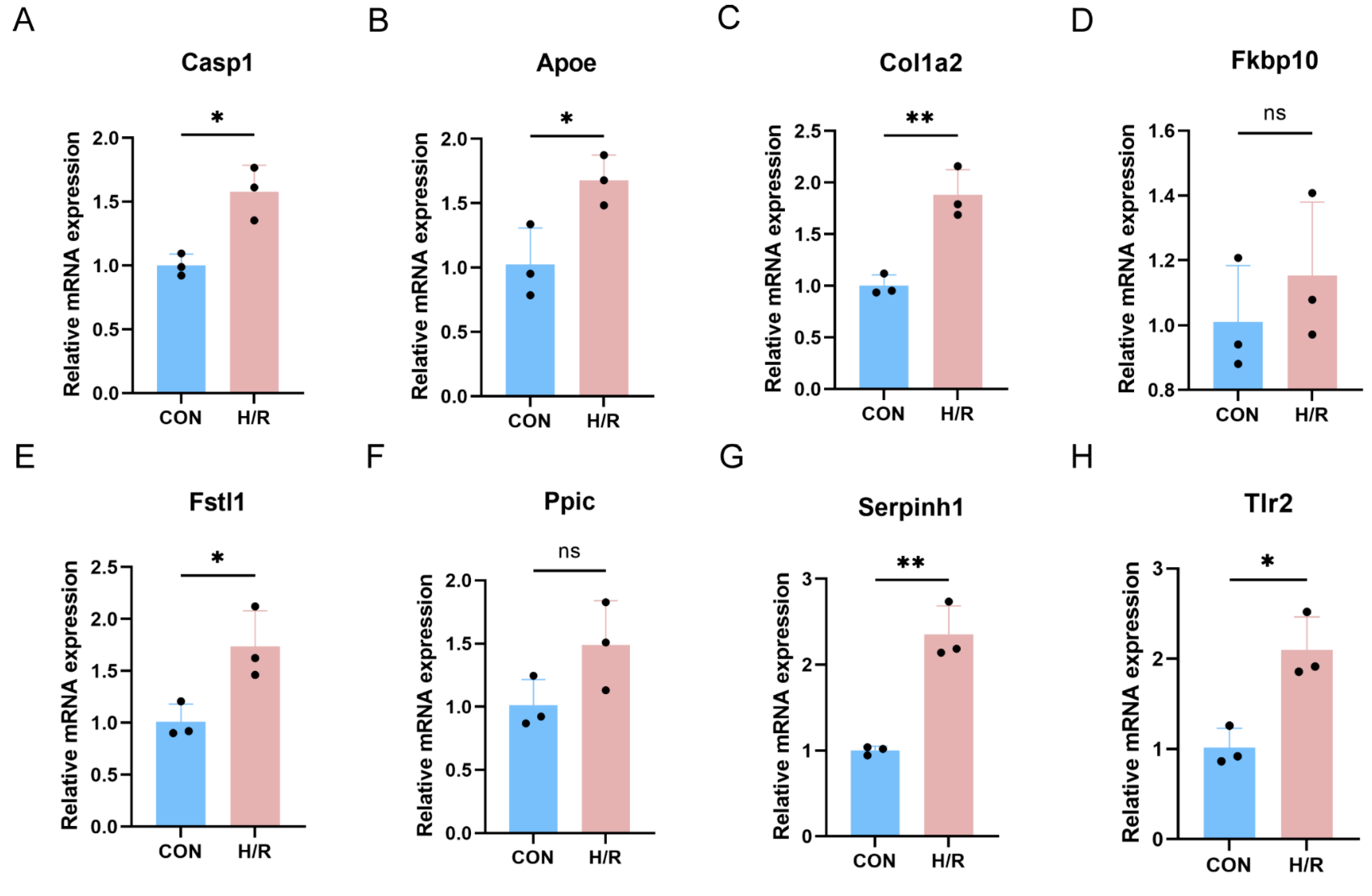 Biomedicines 13 02114 g008 Biomedicines 13 02114 g008