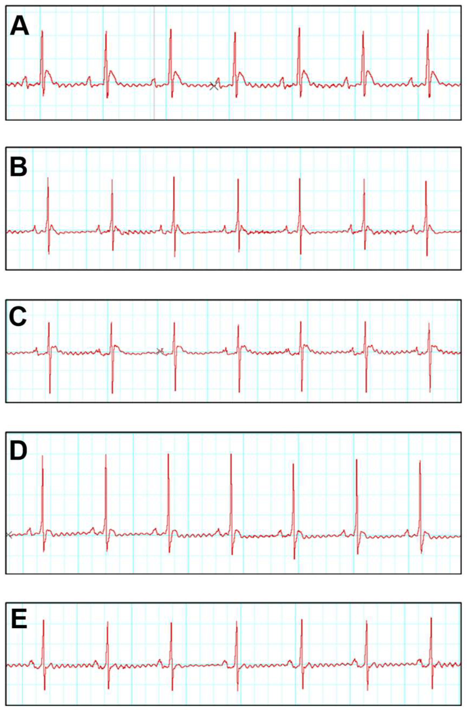 Biomedicines 13 02115 g001 Biomedicines 13 02115 g001