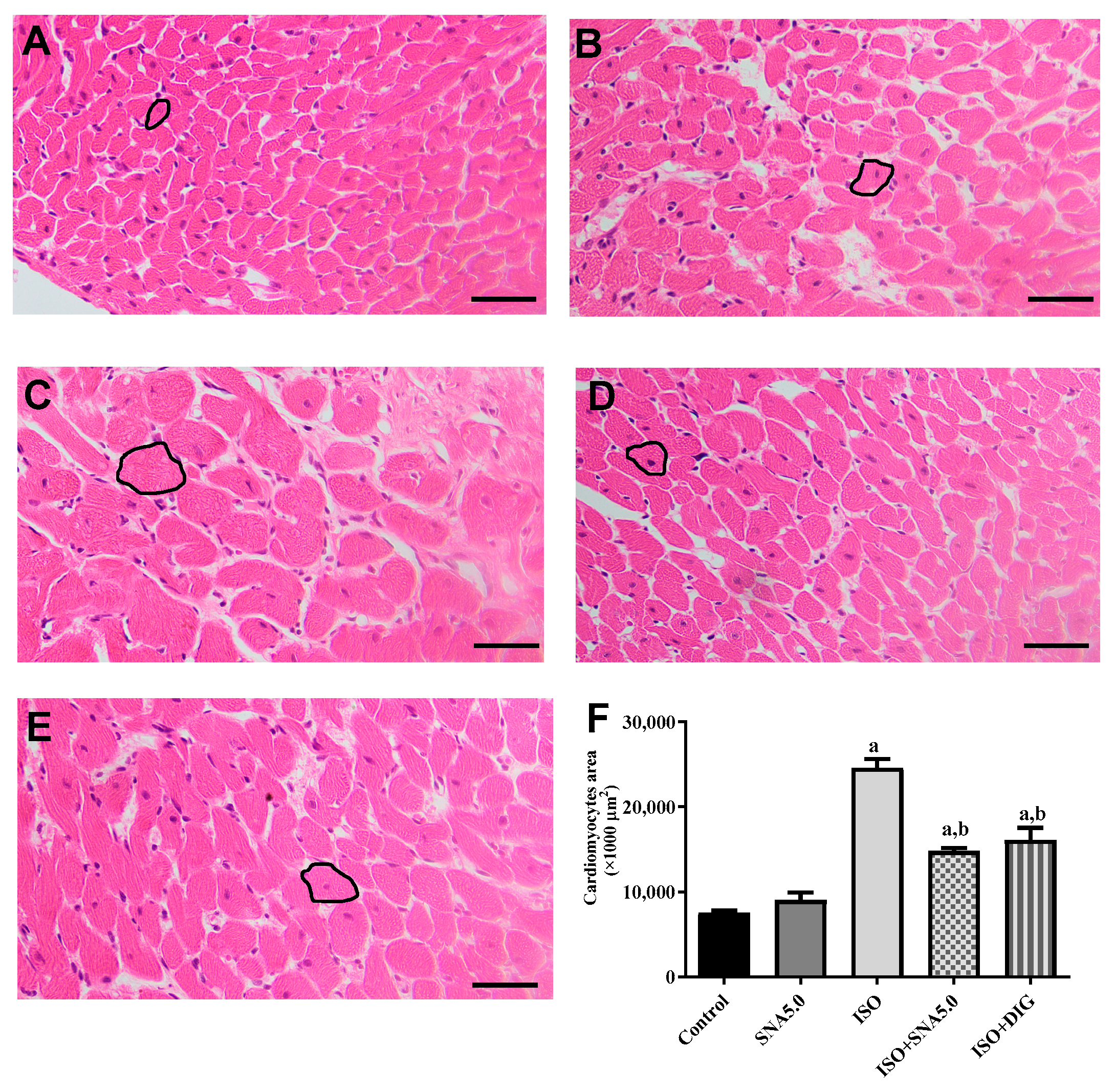 Biomedicines 13 02115 g003 Biomedicines 13 02115 g003