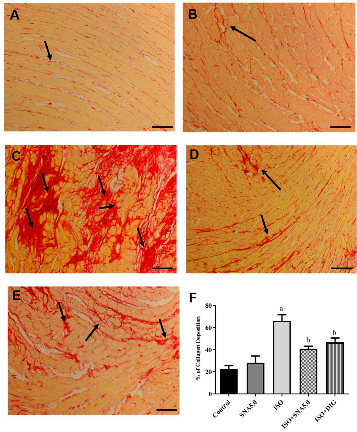 Biomedicines 13 02115 g004 Biomedicines 13 02115 g004